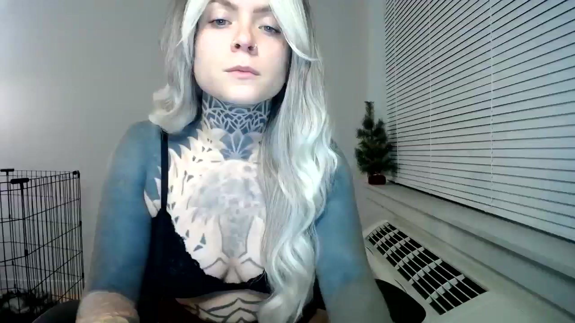 Gallery image thumbnail from ViVerdure's myfreecams stream on, 01/03/2024, 01:54 image 7 of 20