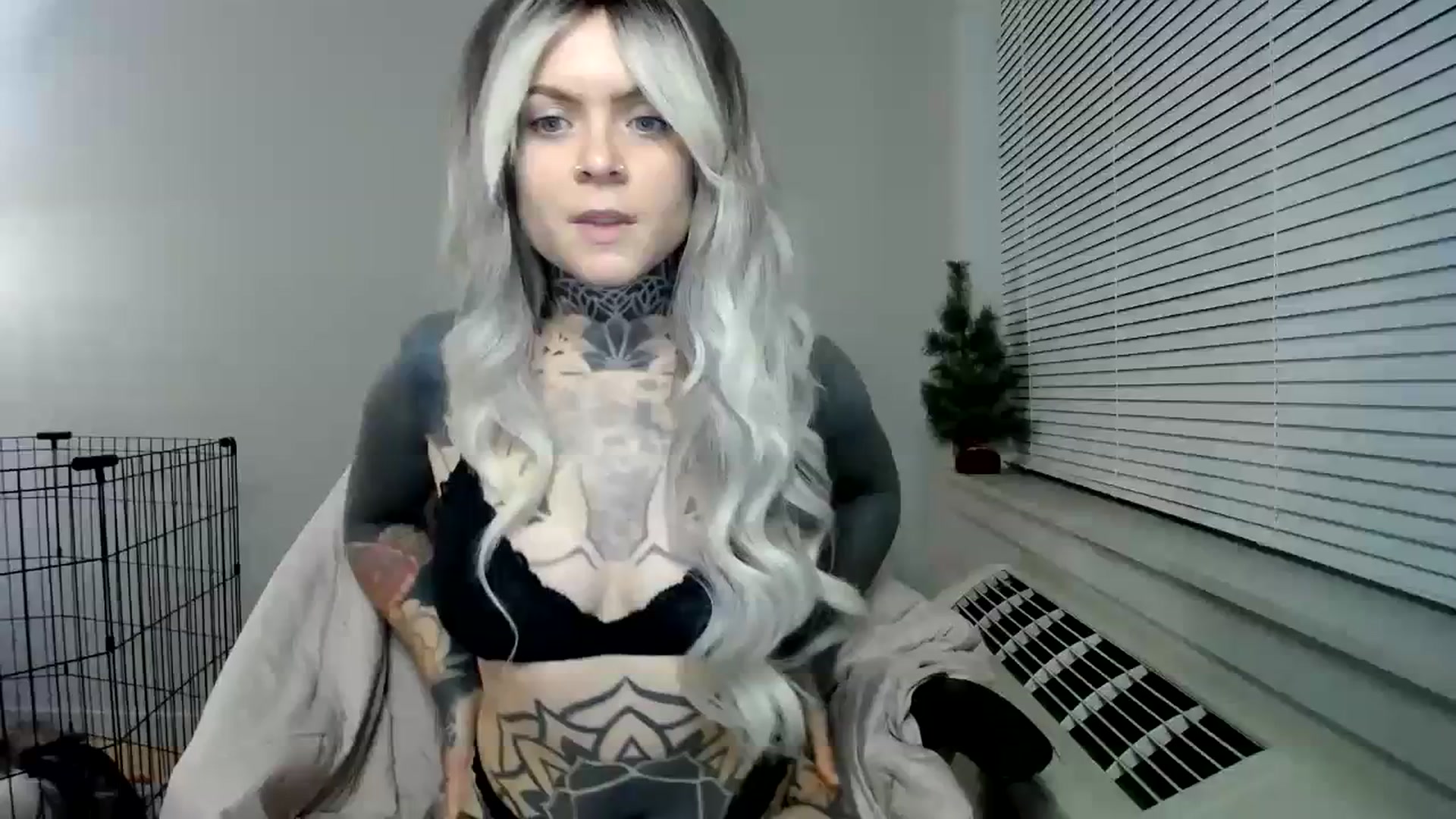 Gallery image thumbnail from ViVerdure's myfreecams stream on, 01/03/2024, 04:07 image 5 of 20