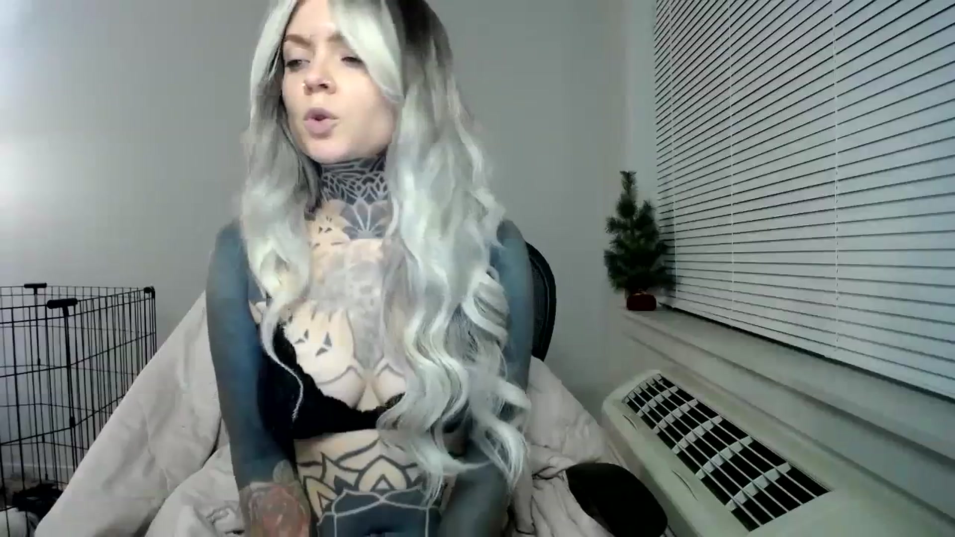 Gallery image thumbnail from ViVerdure's myfreecams stream on, 01/03/2024, 04:07 image 10 of 20