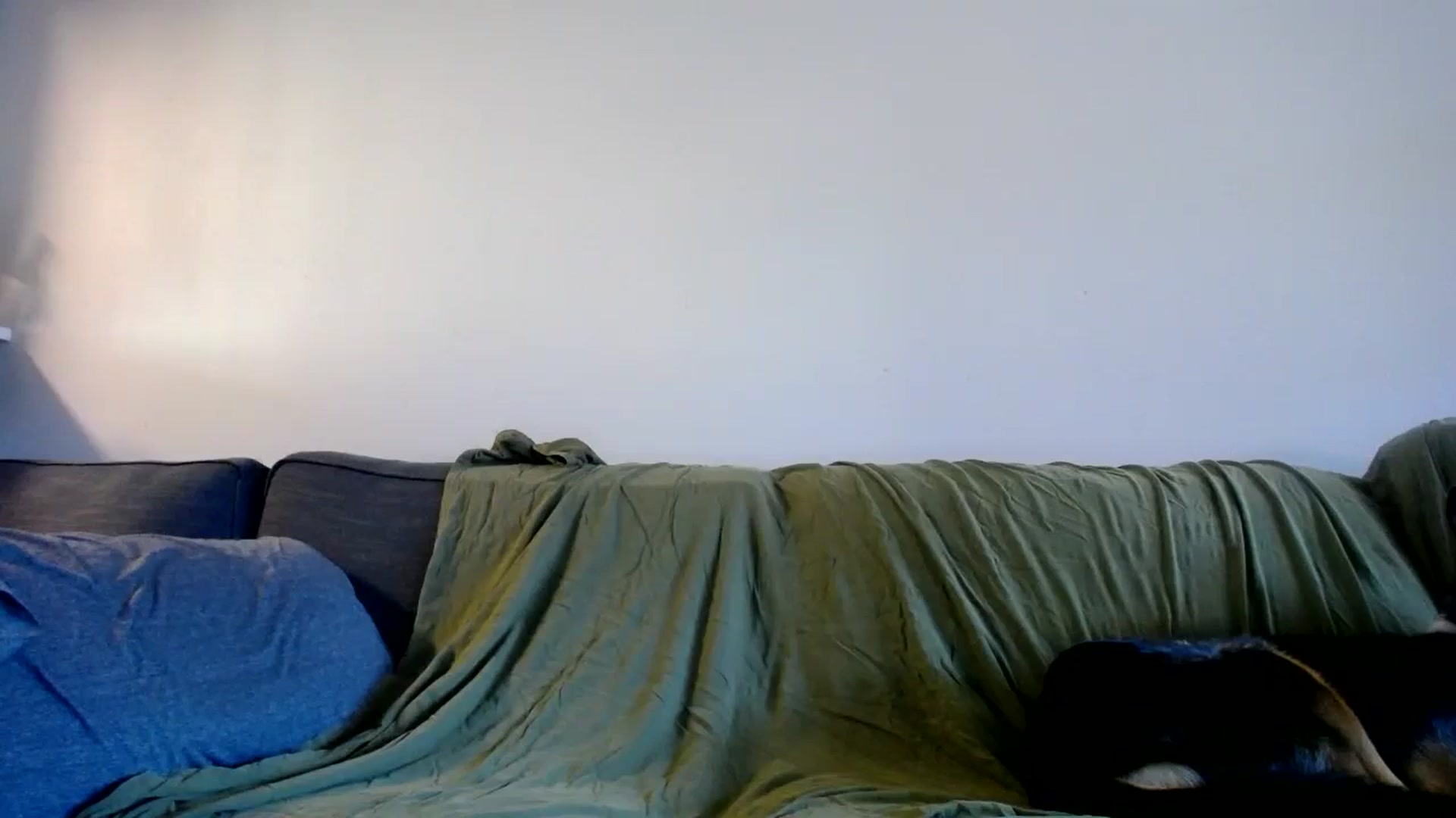 Gallery image thumbnail from ViVerdure's myfreecams stream on, 03/30/2024, 15:43 image 1 of 20