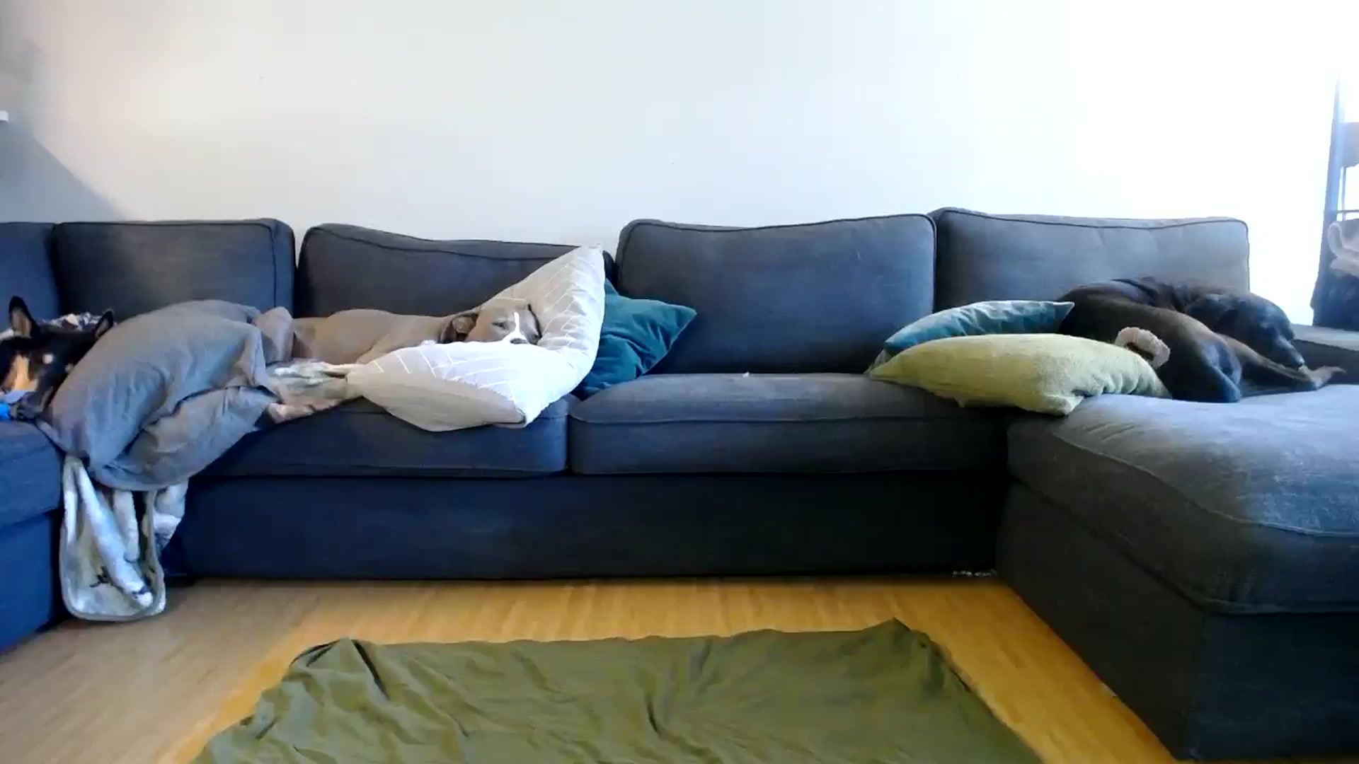Gallery image thumbnail from ViVerdure's myfreecams stream on, 06/27/2024, 19:03 image 2 of 20