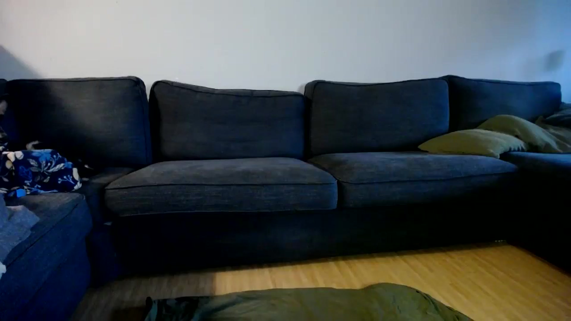 Gallery image thumbnail from ViVerdure's myfreecams stream on, 06/30/2024, 05:03 image 7 of 20