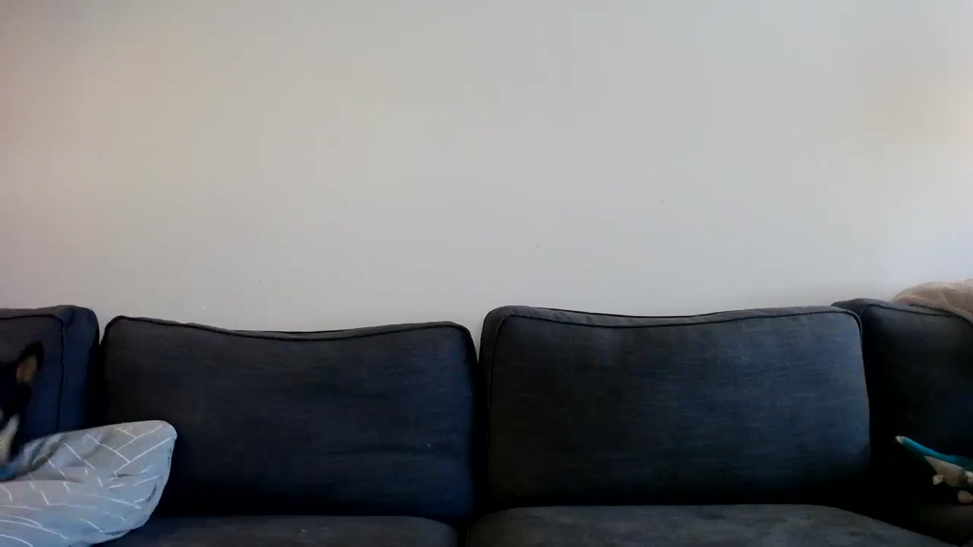 Gallery image thumbnail from ViVerdure's myfreecams stream on, 07/23/2024, 19:02 image 13 of 20