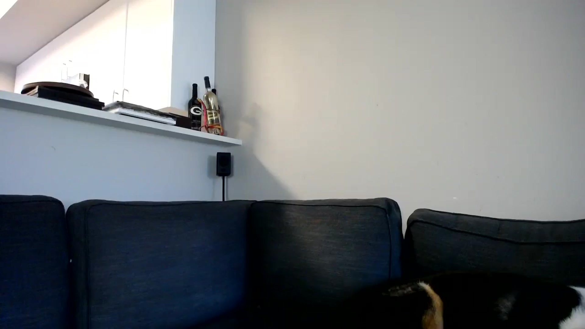 Gallery image thumbnail from ViVerdure's myfreecams stream on, 08/15/2024, 17:00 image 1 of 20