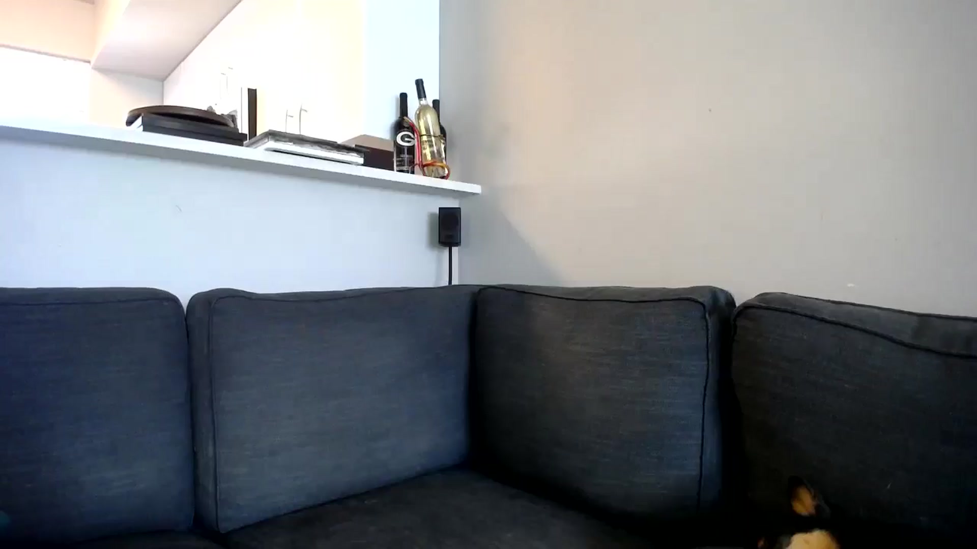Gallery image thumbnail from ViVerdure's myfreecams stream on, 08/18/2024, 19:03 image 11 of 20