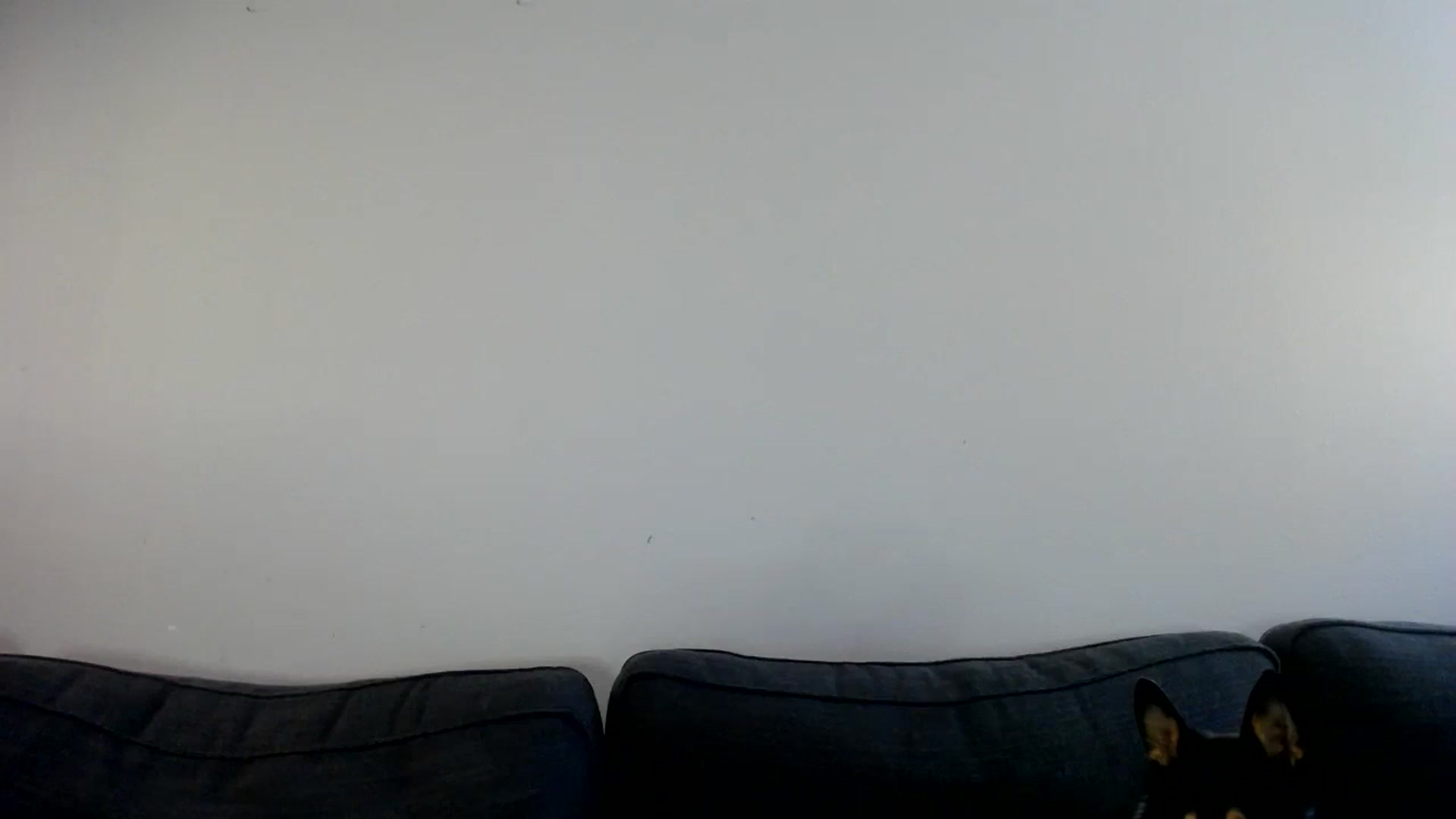 Gallery image thumbnail from ViVerdure's myfreecams stream on, 09/20/2024, 17:03 image 10 of 20