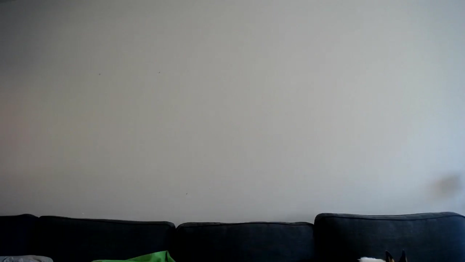 Gallery image thumbnail from ViVerdure's myfreecams stream on, 10/27/2024, 19:30 image 2 of 20