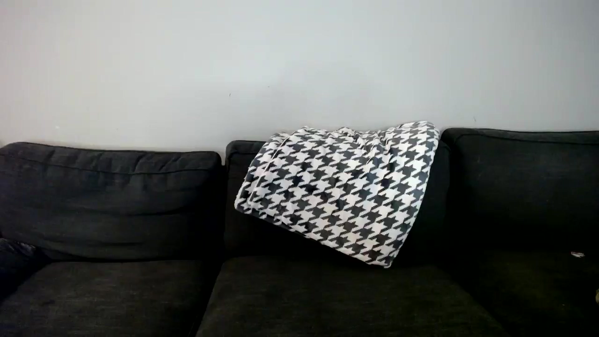 Gallery image thumbnail from ViVerdure's myfreecams stream on, 12/20/2024, 16:33 image 11 of 20