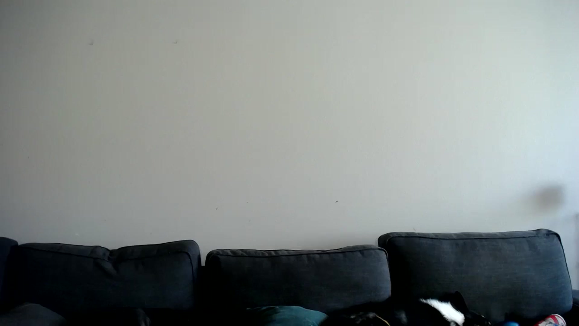 Gallery image thumbnail from ViVerdure's myfreecams stream on, 07/13/2025, 20:11 image 3 of 20