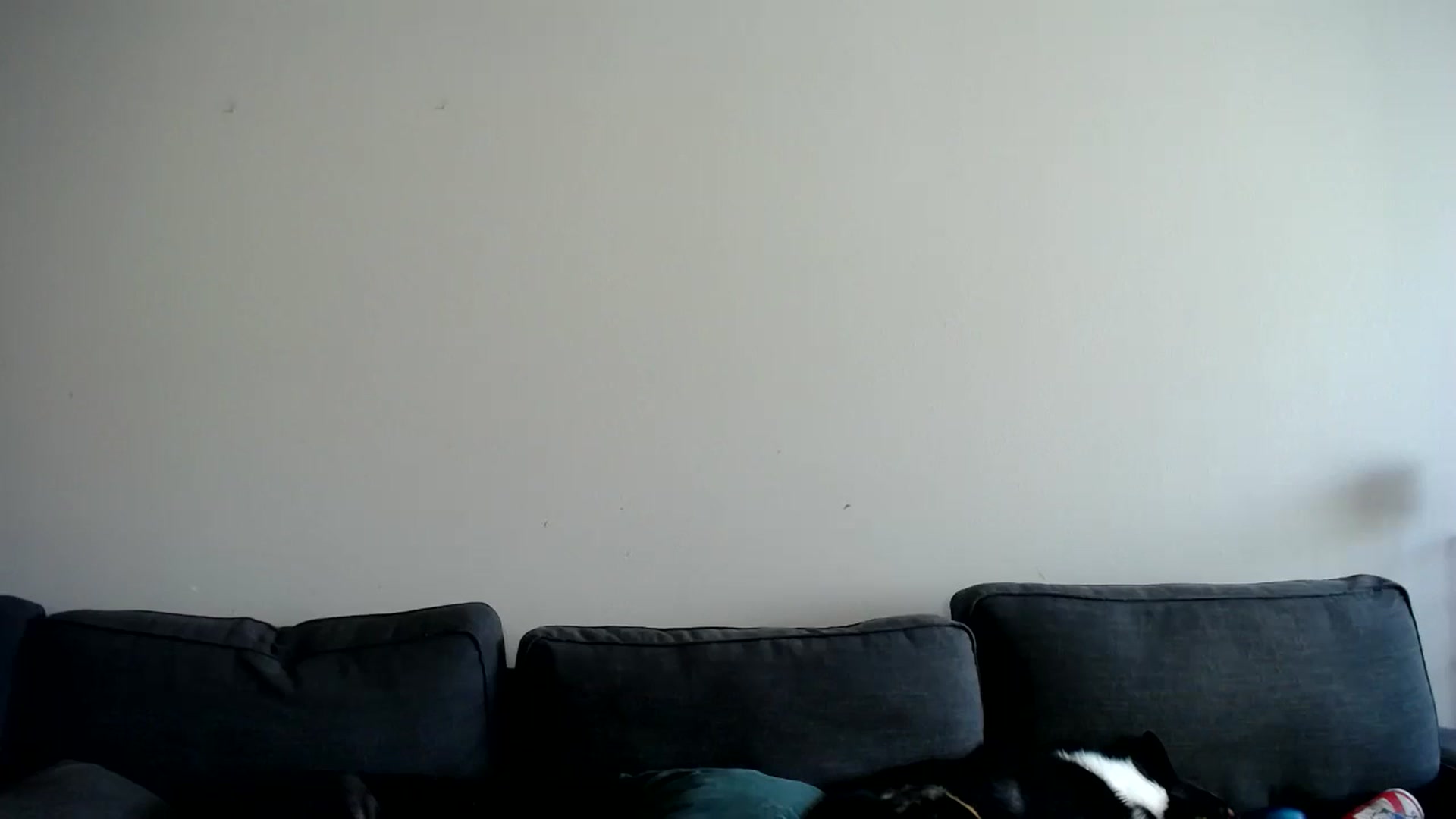 Gallery image thumbnail from ViVerdure's myfreecams stream on, 07/13/2025, 20:11 image 2 of 20