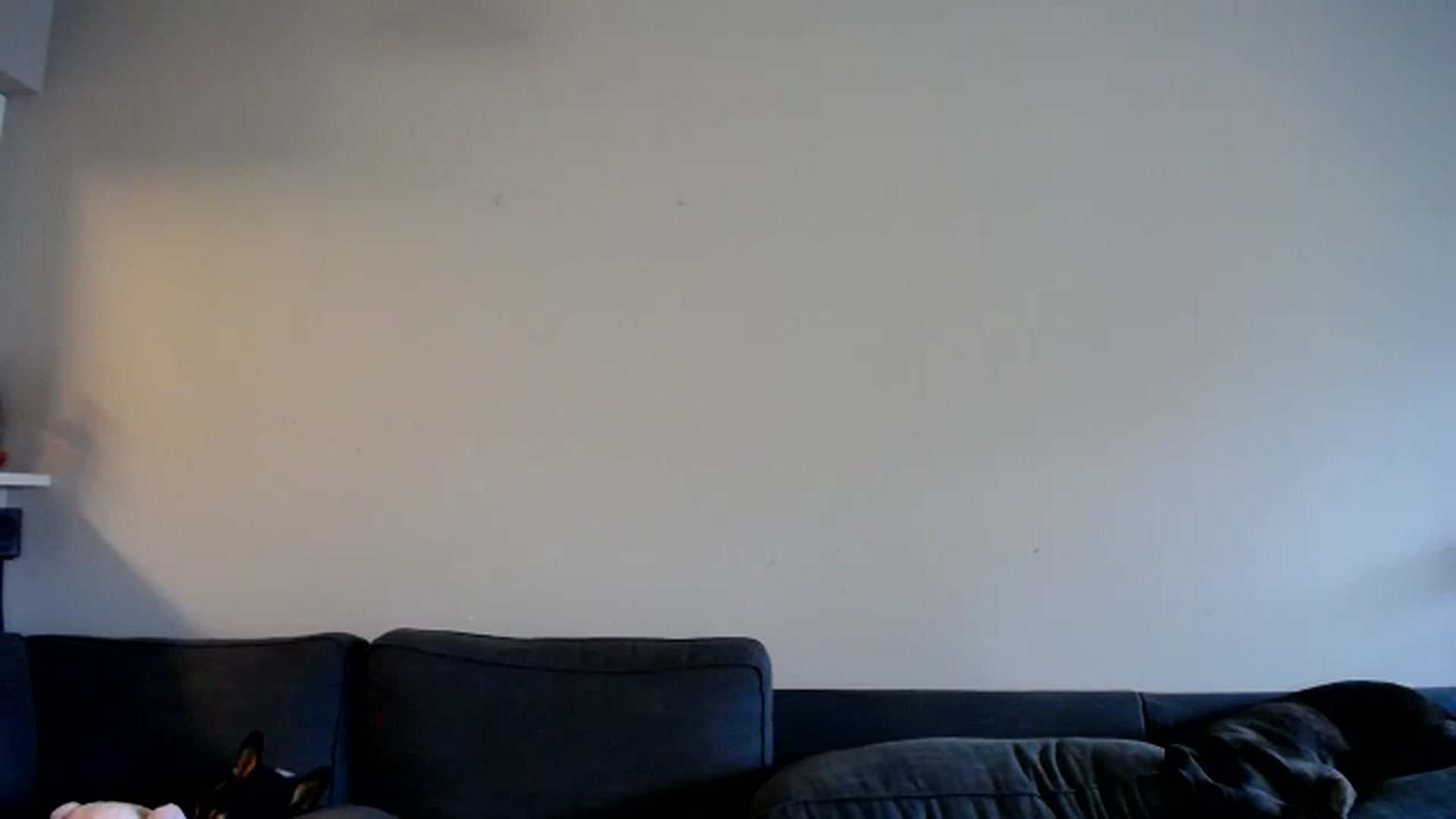 Gallery image thumbnail from ViVerdure's myfreecams stream on, 08/03/2025, 18:27 image 18 of 20