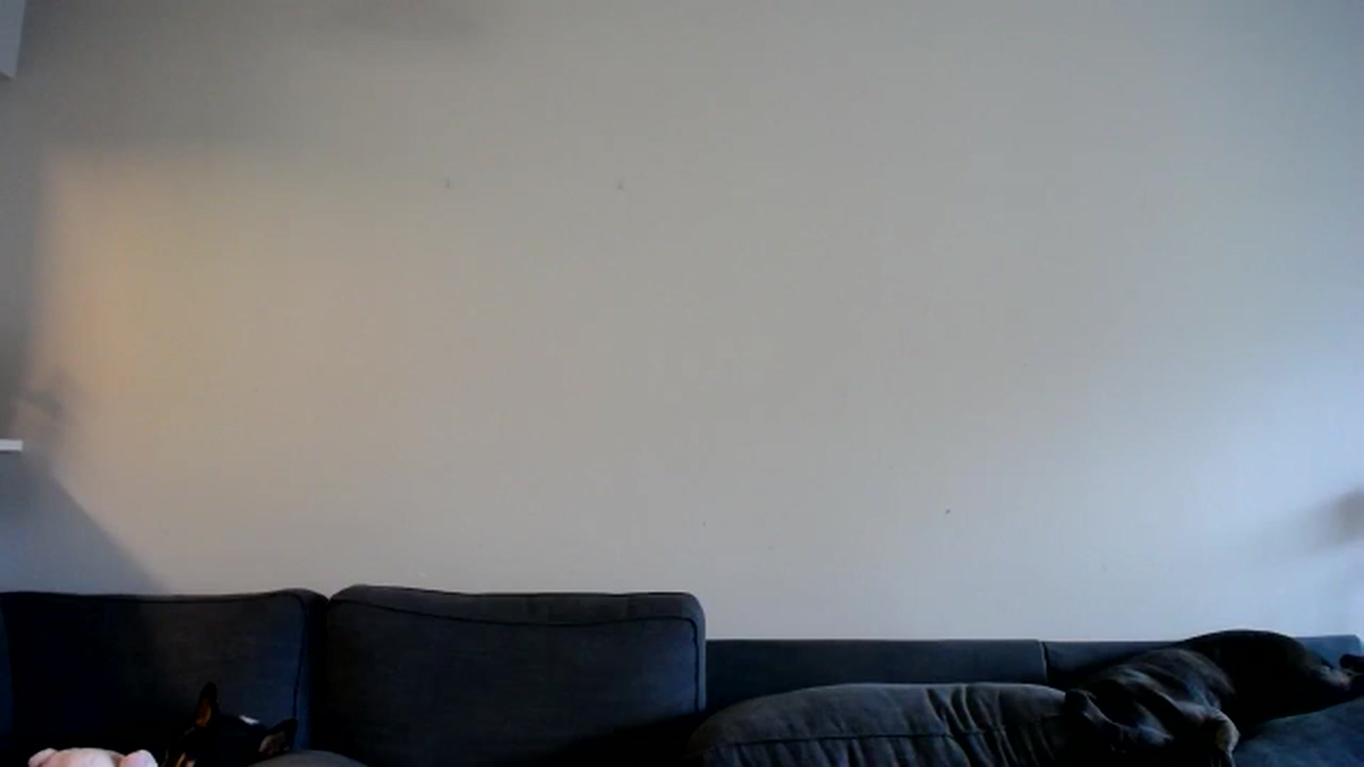 Gallery image thumbnail from ViVerdure's myfreecams stream on, 08/03/2025, 18:27 image 17 of 20