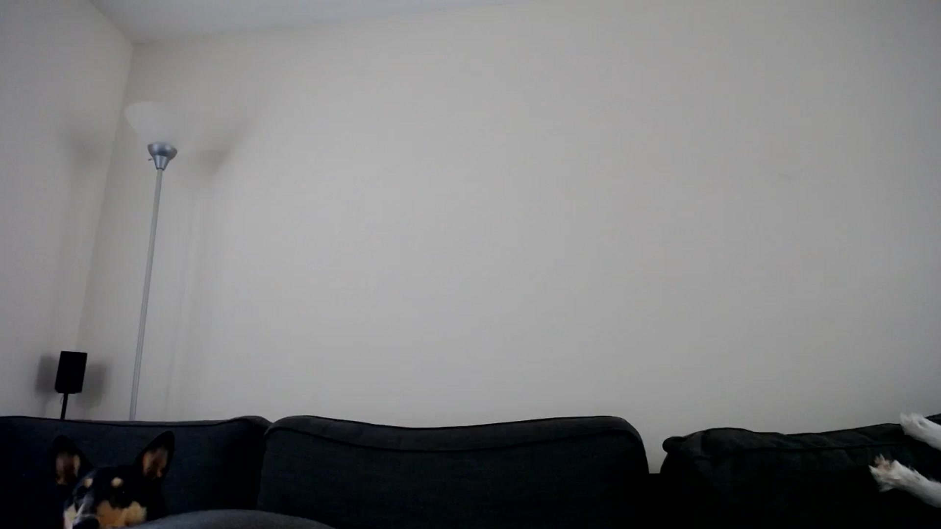 Gallery image thumbnail from ViVerdure's myfreecams stream on, 10/27/2025, 18:46 image 11 of 20