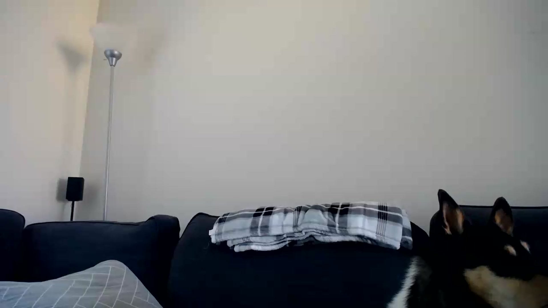 Gallery image thumbnail from ViVerdure's myfreecams stream on, 08/23/2026, 23:32 image 20 of 20