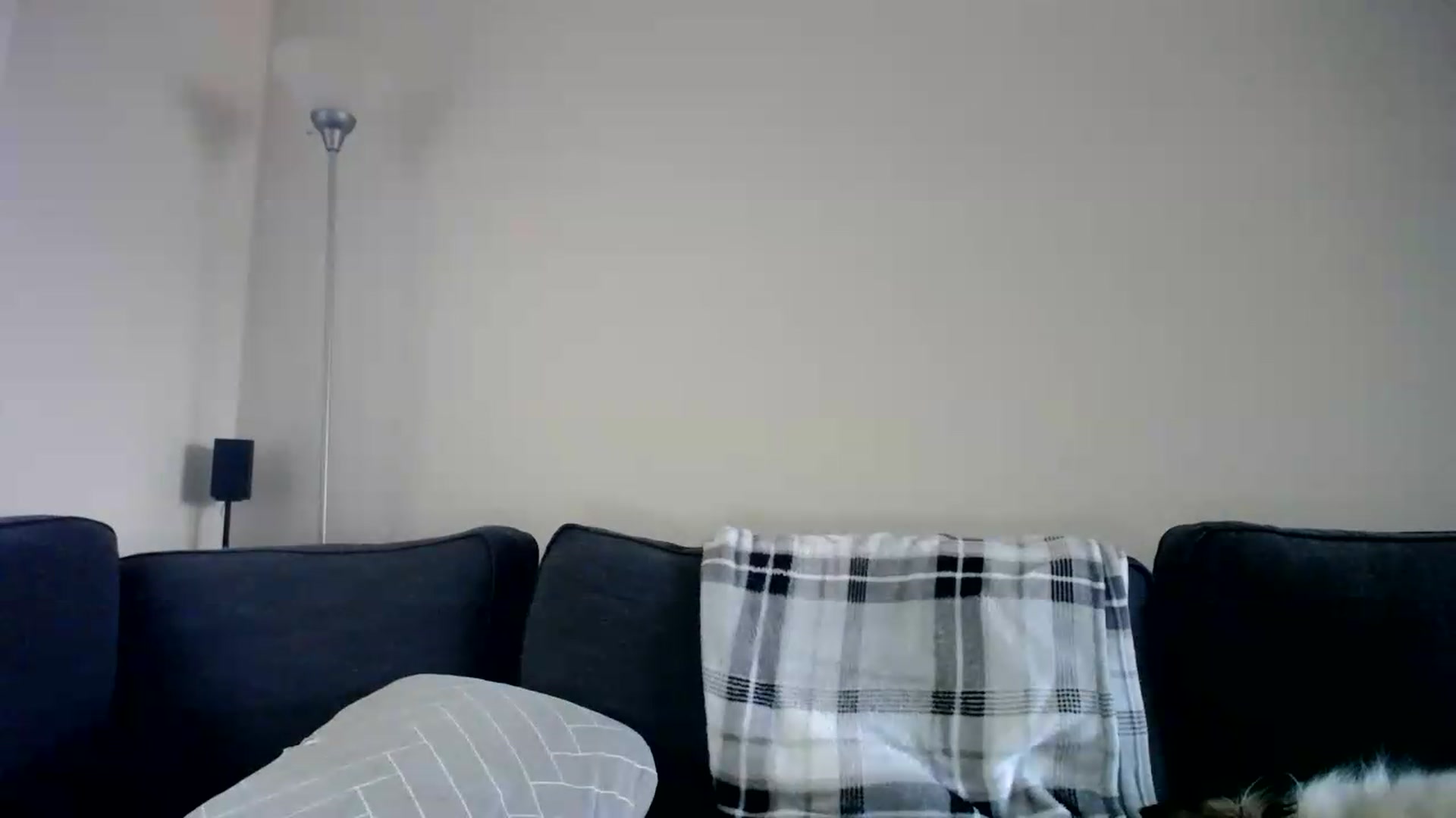 Gallery image thumbnail from ViVerdure's myfreecams stream on, 09/08/2026, 02:53 image 13 of 20