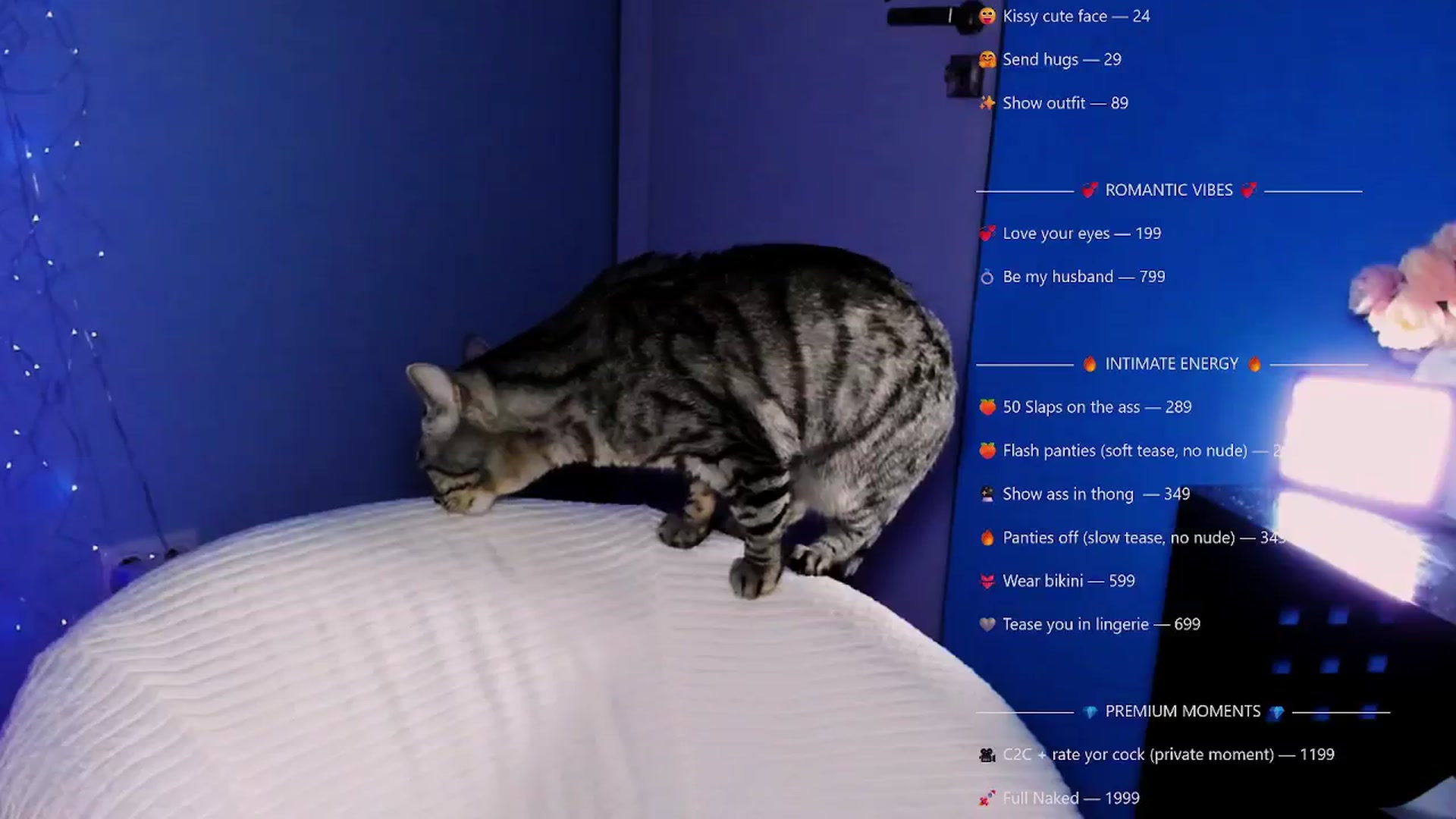 Gallery image thumbnail from ViagraLady's myfreecams stream on, 12/25/2025, 21:15 image 15 of 20