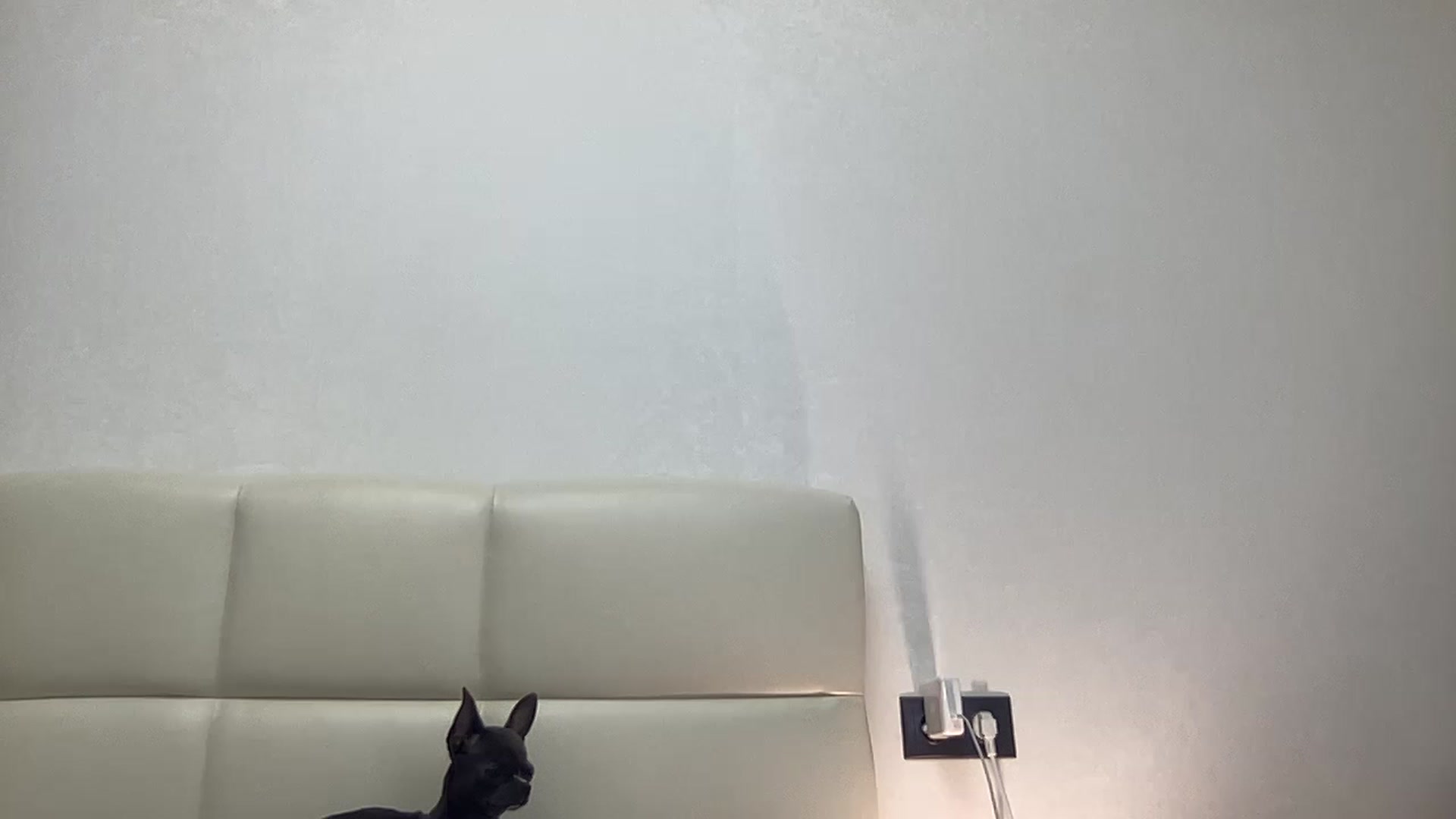 Gallery image thumbnail from VickyRoyal's myfreecams stream on, 11/20/2022, 19:07 image 12 of 20
