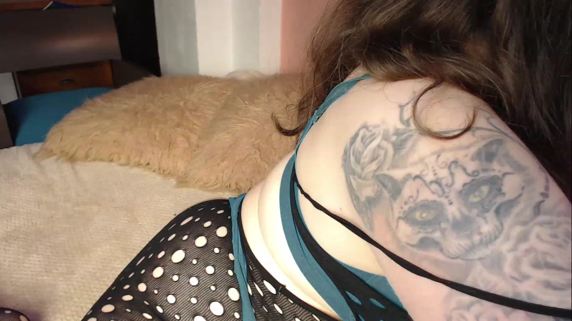 Gallery image thumbnail from Vickya_Vinci's myfreecams stream on, 12/19/2022, 08:04 image 7 of 20