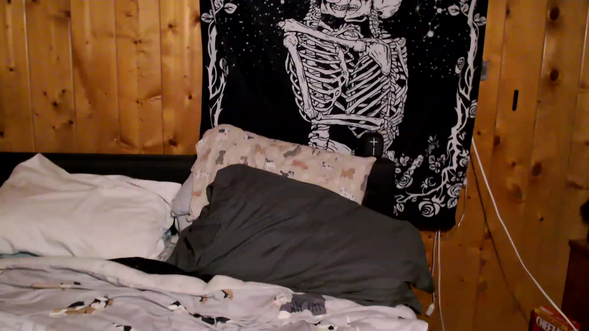 Gallery image thumbnail from ViennaLaneXXX's myfreecams stream on, 11/24/2022, 03:14 image 15 of 20