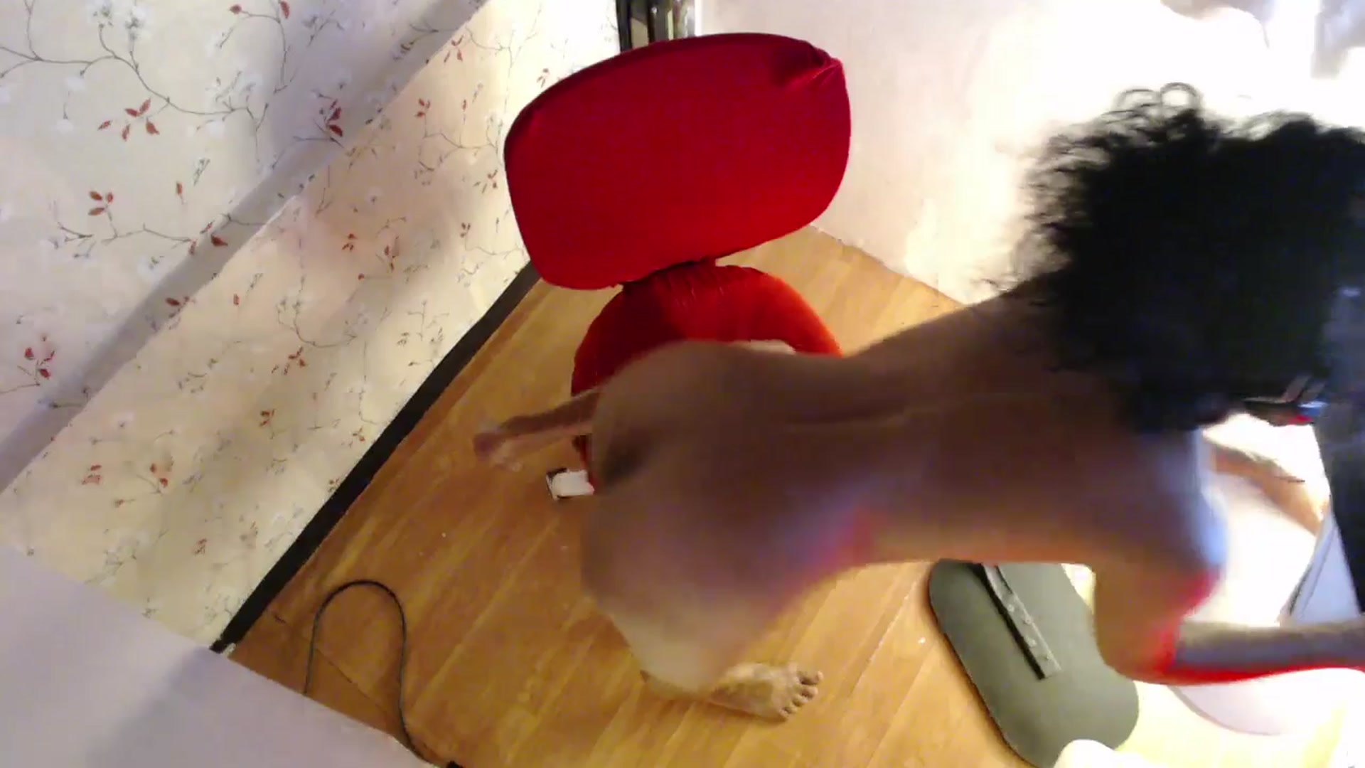 Gallery image thumbnail from ViktoriaFox's myfreecams stream on, 10/30/2025, 15:43 image 12 of 20