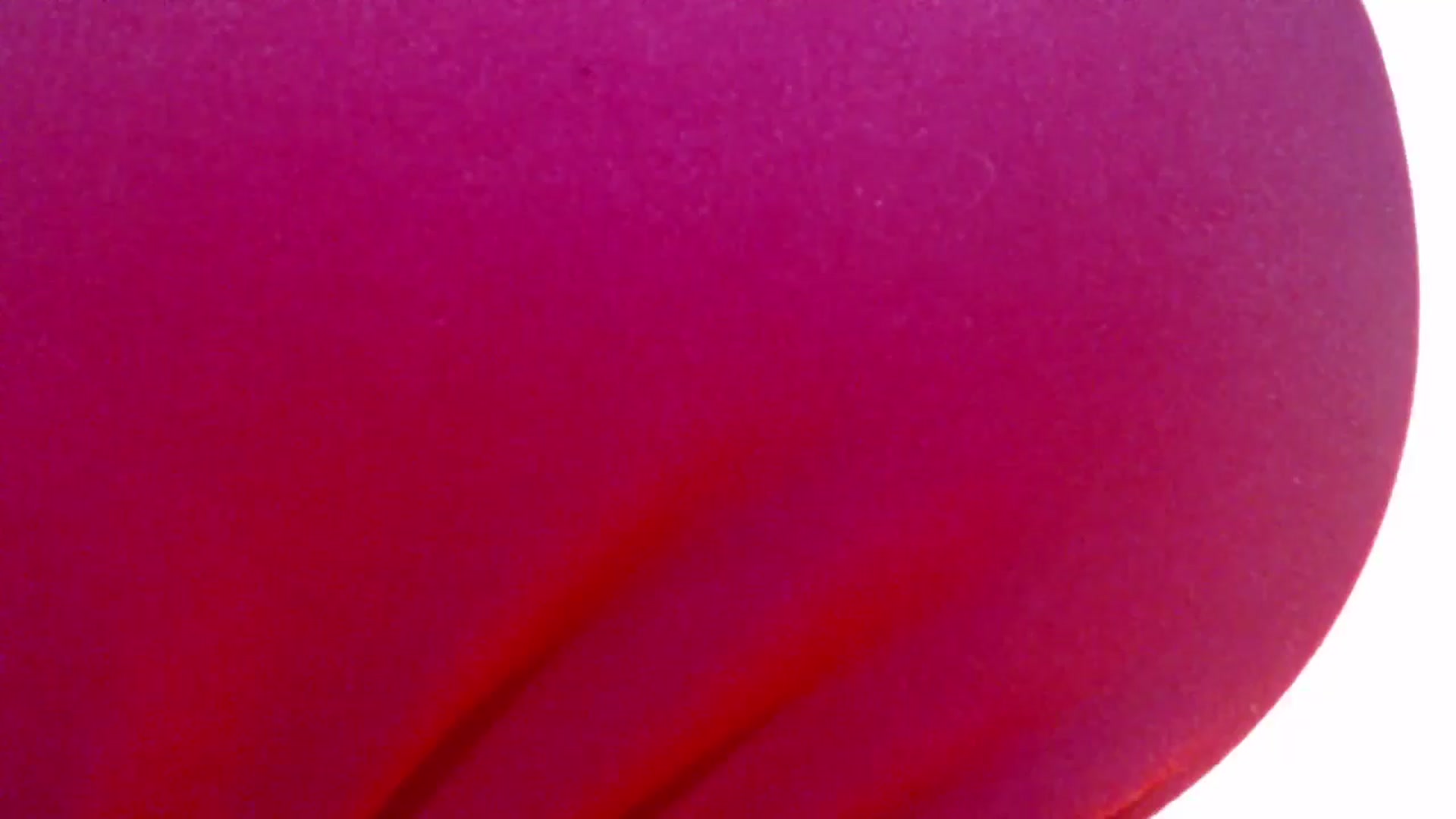 Gallery image thumbnail from ViktoriaFox's myfreecams stream on, 12/14/2025, 17:02 image 15 of 20