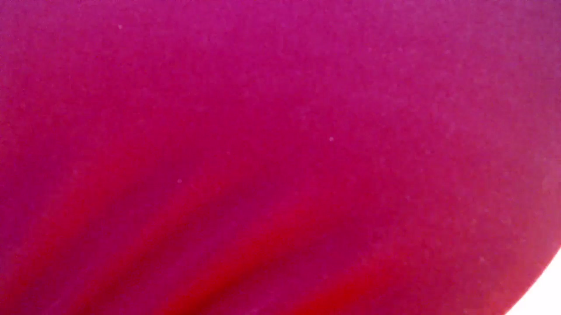 Gallery image thumbnail from ViktoriaFox's myfreecams stream on, 12/30/2025, 18:25 image 16 of 20