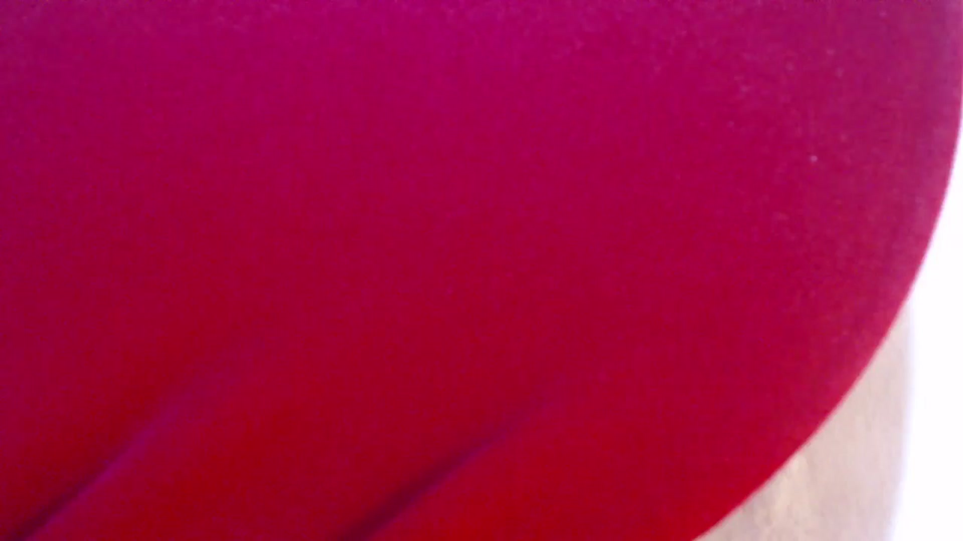 Gallery image thumbnail from ViktoriaFox's myfreecams stream on, 01/25/2026, 08:16 image 2 of 20