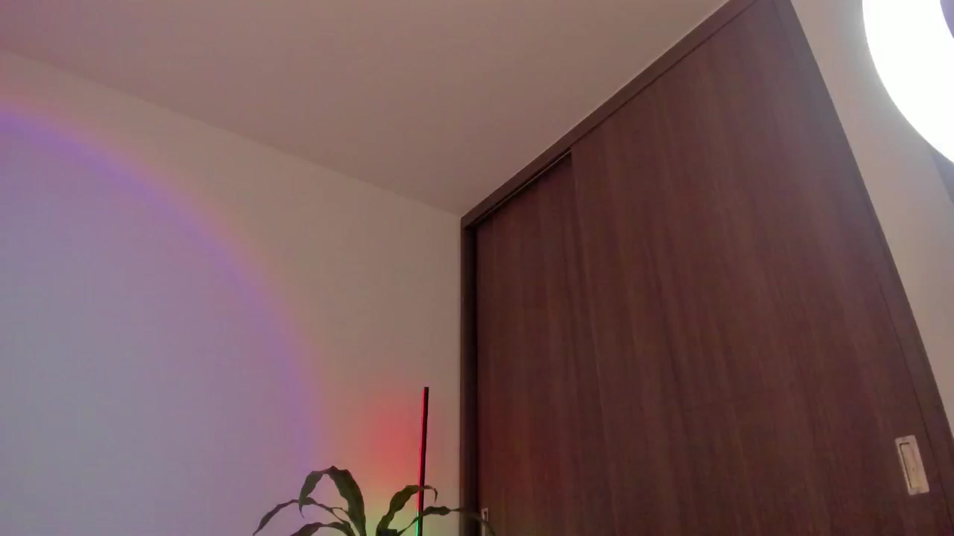 Gallery image thumbnail from Vilu_here's myfreecams stream on, 12/17/2024, 22:42 image 13 of 20