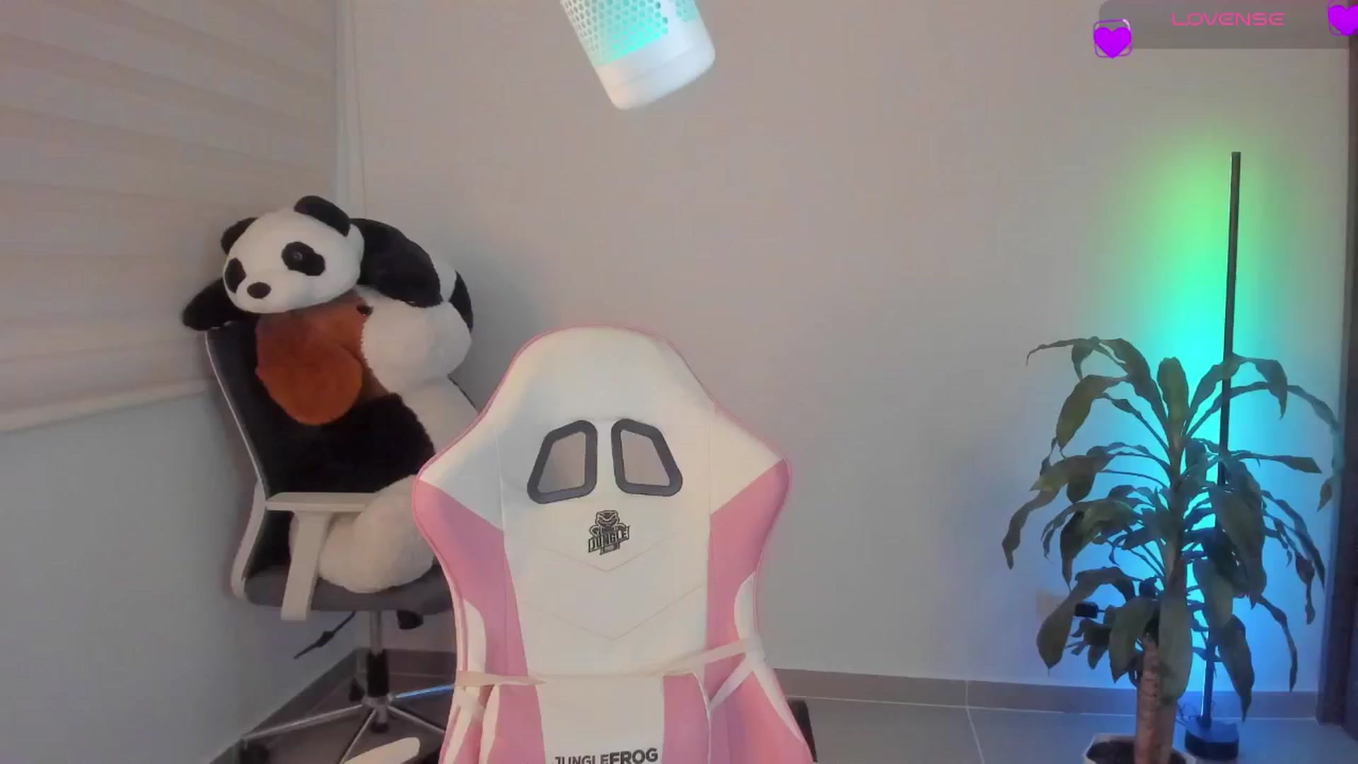 Gallery image thumbnail from Vilu_here's myfreecams stream on, 12/30/2024, 19:29 image 20 of 20