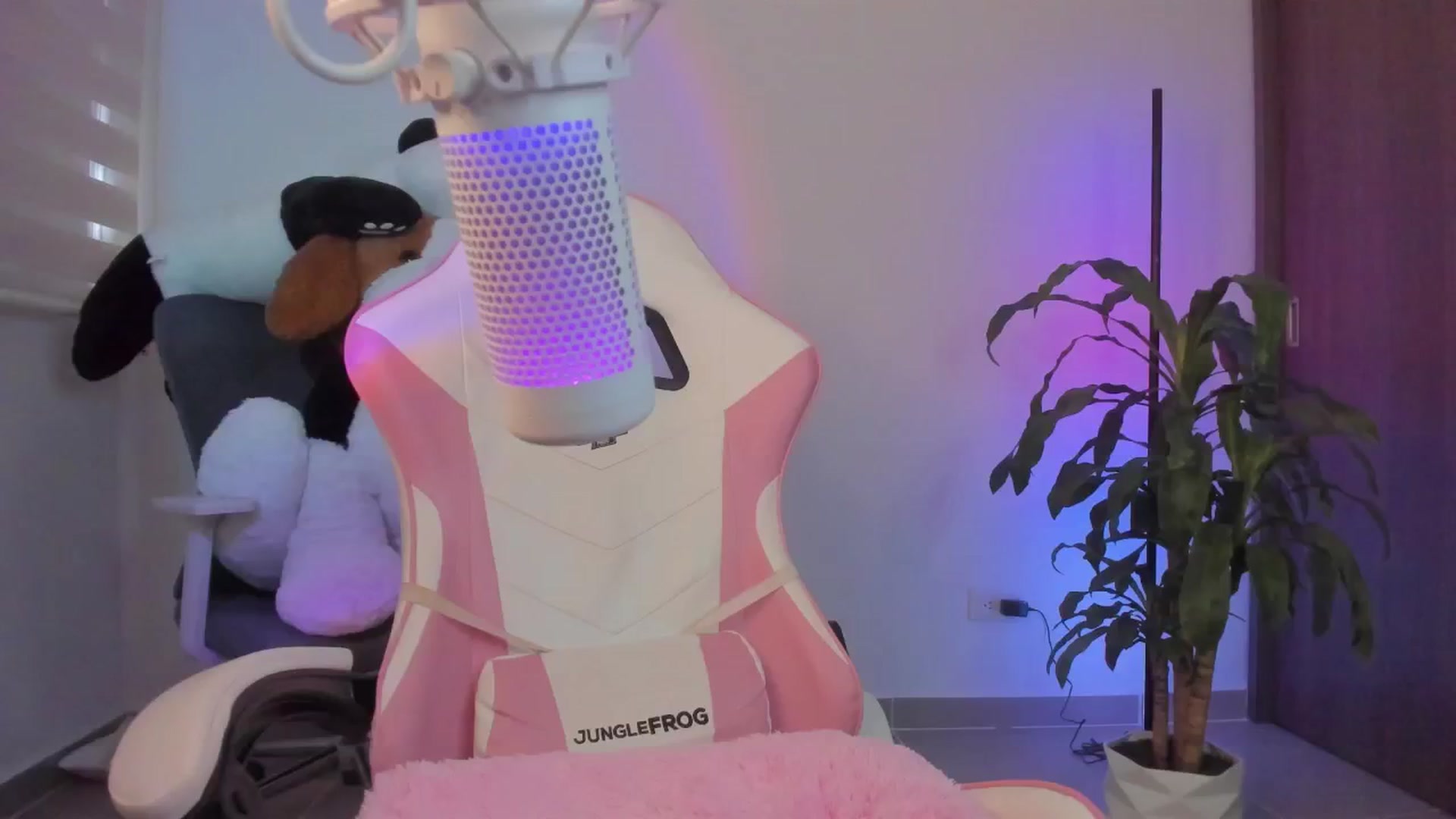 Gallery image thumbnail from Vilu_here's myfreecams stream on, 02/16/2025, 17:37 image 19 of 20
