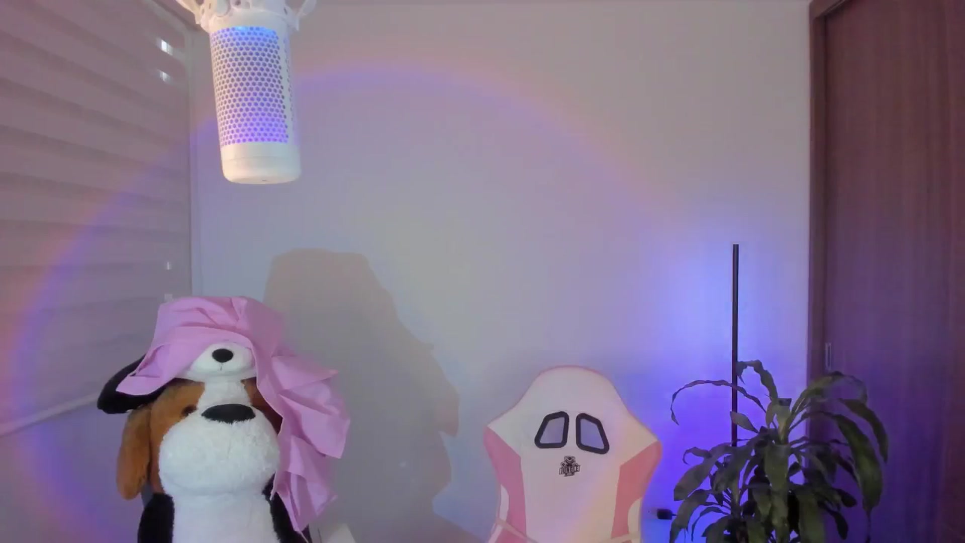 Gallery image thumbnail from Vilu_here's myfreecams stream on, 02/17/2025, 19:02 image 11 of 20