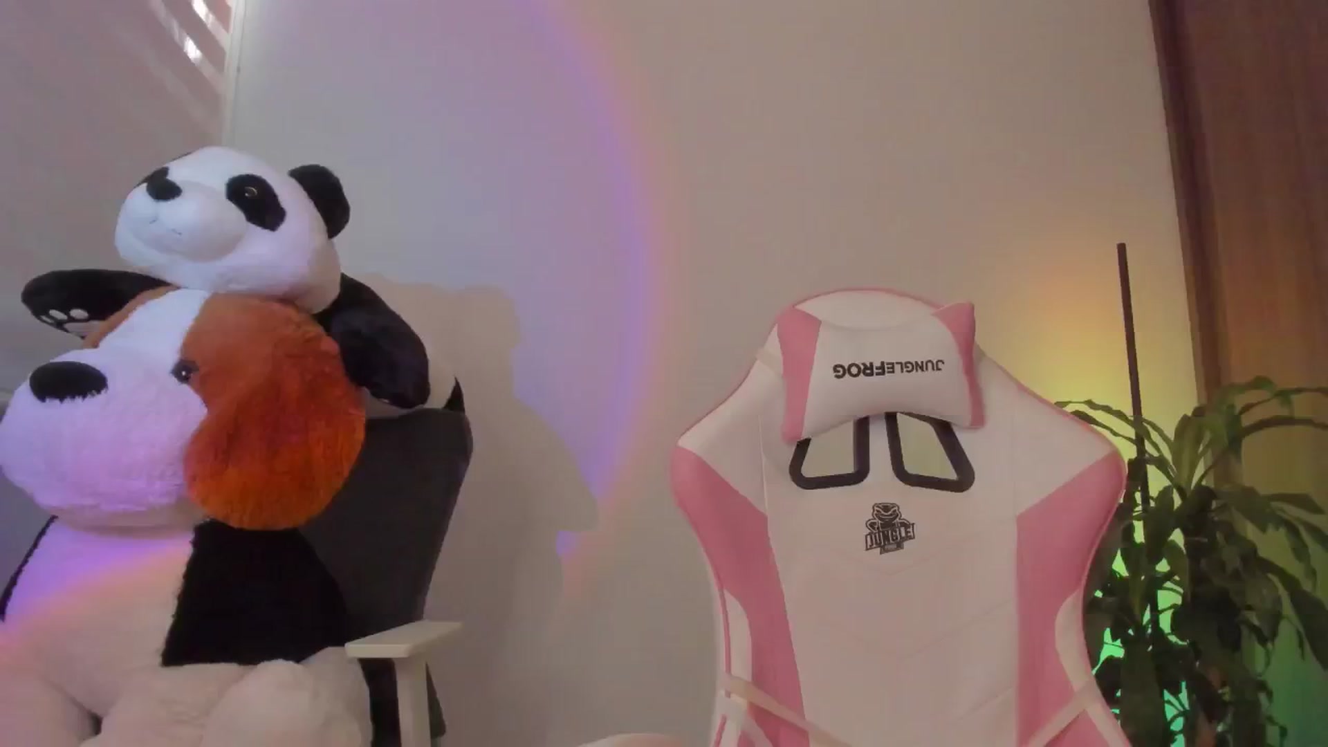 Gallery image thumbnail from Vilu_here's myfreecams stream on, 02/24/2025, 13:40 image 19 of 20