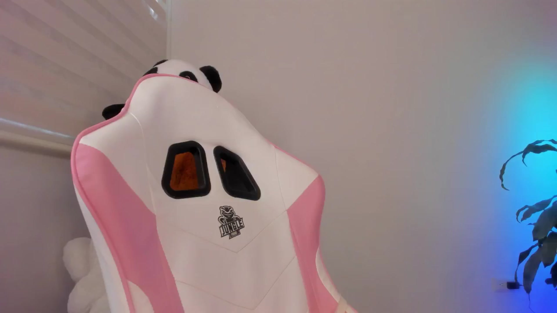 Gallery image thumbnail from Vilu_here's myfreecams stream on, 02/24/2025, 17:01 image 5 of 20