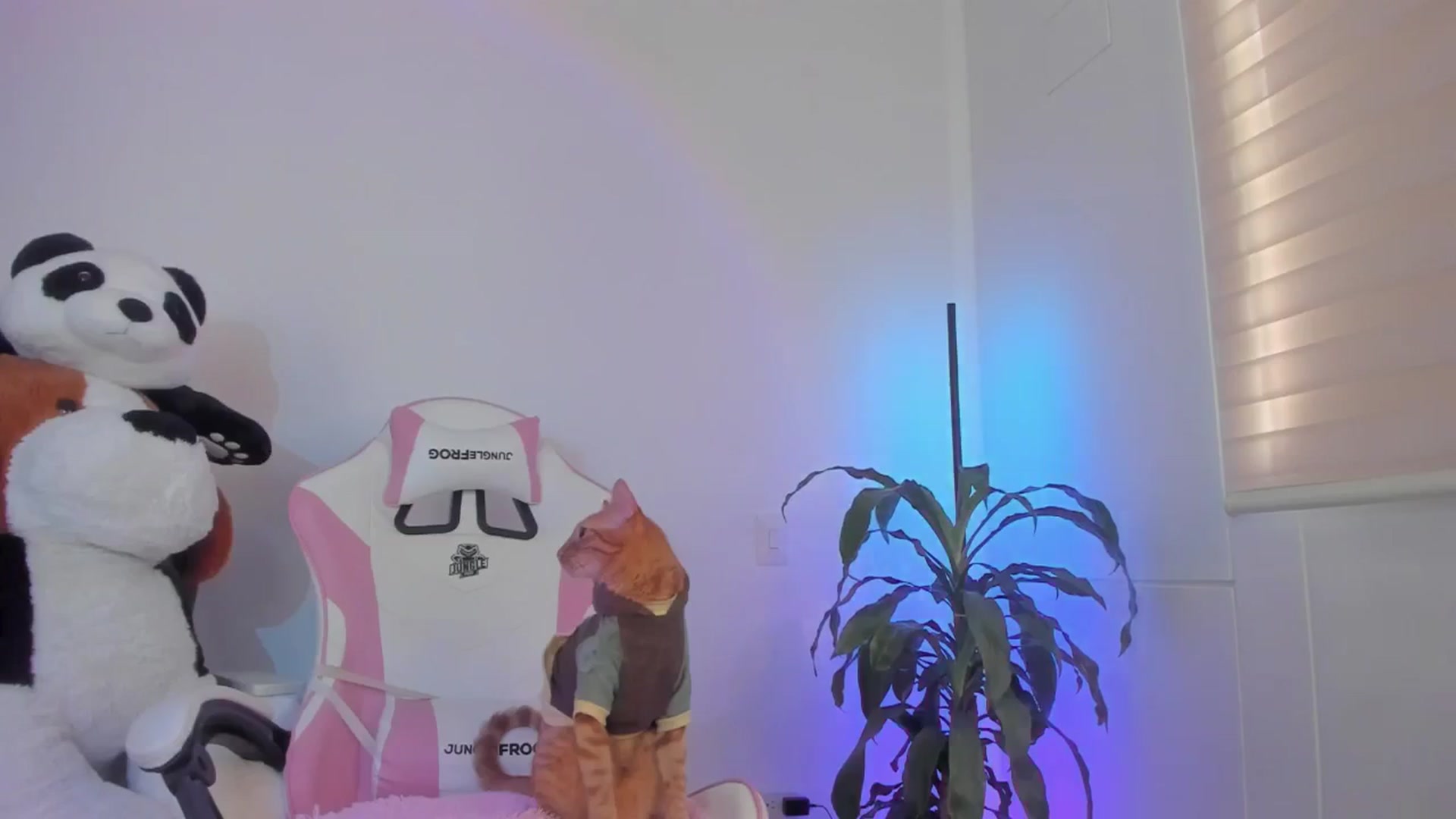 Gallery image thumbnail from Vilu_here's myfreecams stream on, 03/01/2025, 13:51 image 15 of 20