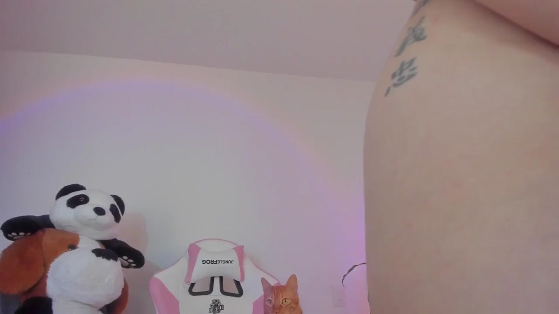 Gallery image thumbnail from Vilu_here's myfreecams stream on, 03/01/2025, 13:51 image 14 of 20