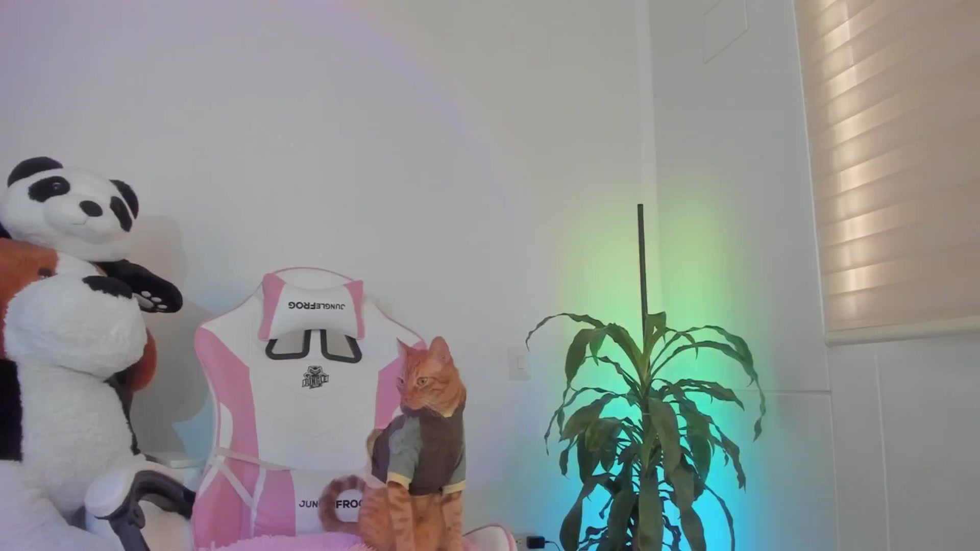 Gallery image thumbnail from Vilu_here's myfreecams stream on, 03/01/2025, 13:51 image 16 of 20