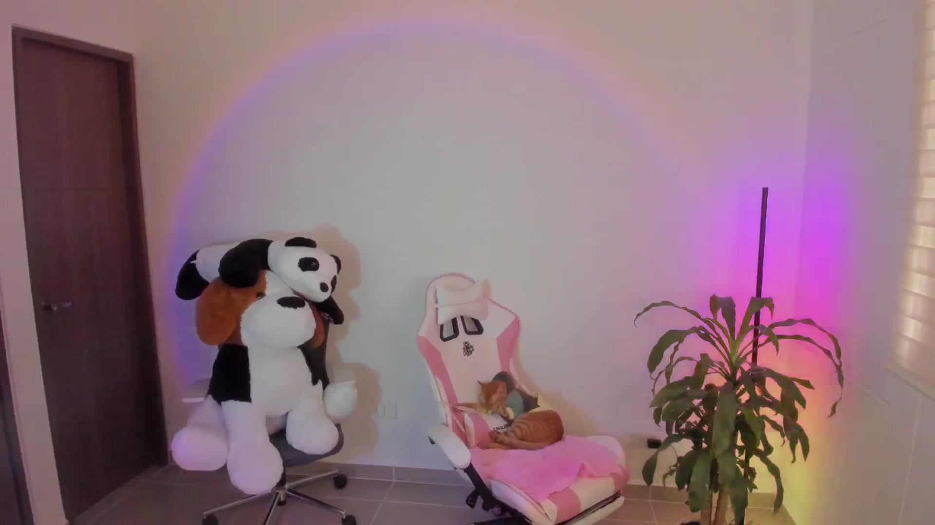 Gallery image thumbnail from Vilu_here's myfreecams stream on, 03/01/2025, 17:29 image 18 of 20