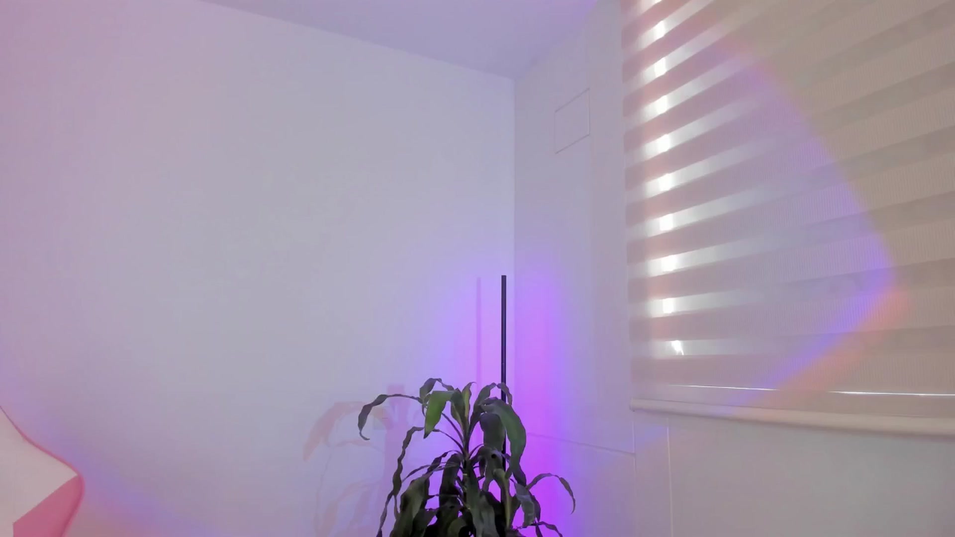 Gallery image thumbnail from Vilu_here's myfreecams stream on, 03/28/2025, 14:40 image 19 of 20