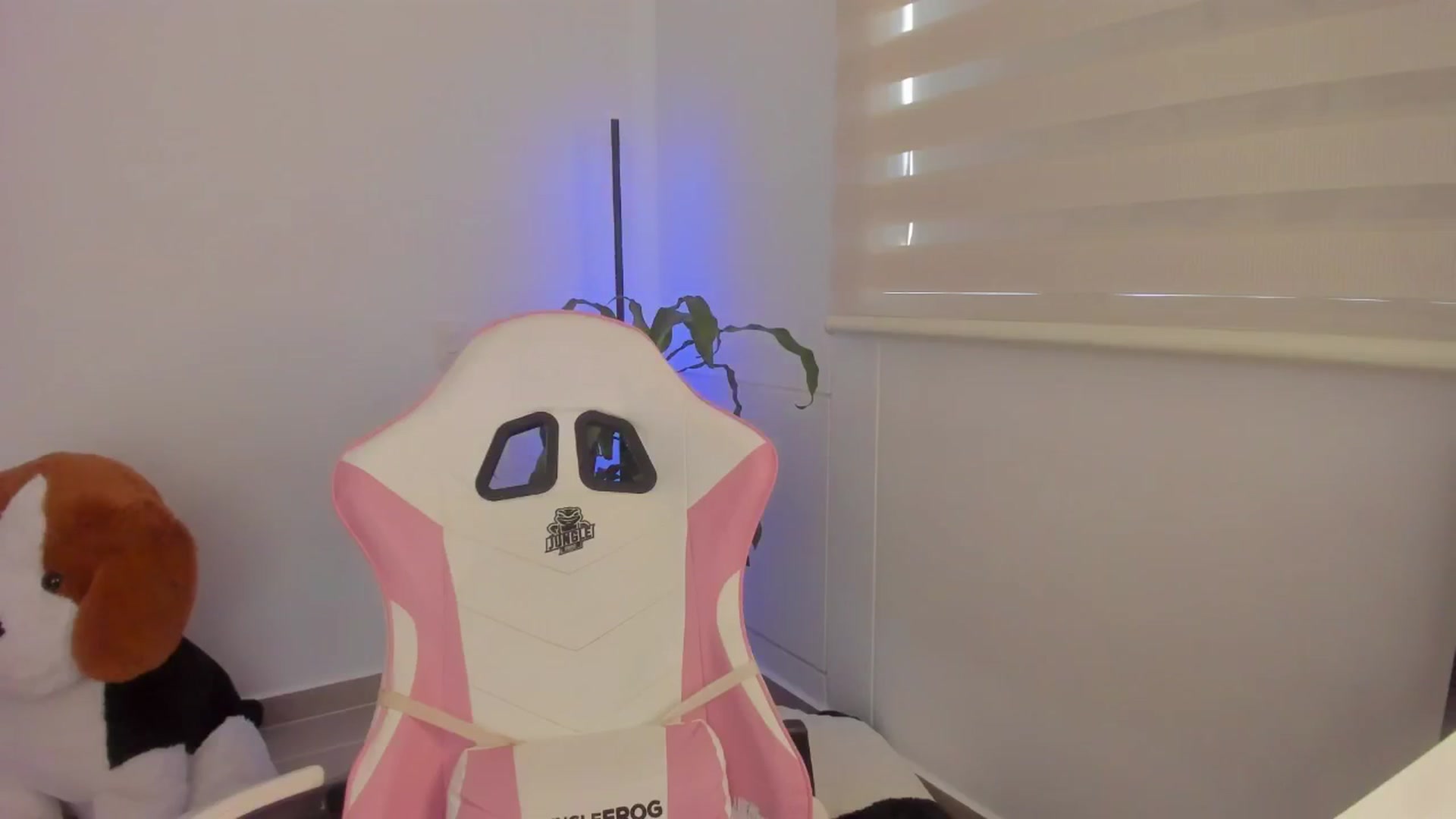 Gallery image thumbnail from Vilu_here's myfreecams stream on, 04/06/2025, 14:46 image 15 of 20