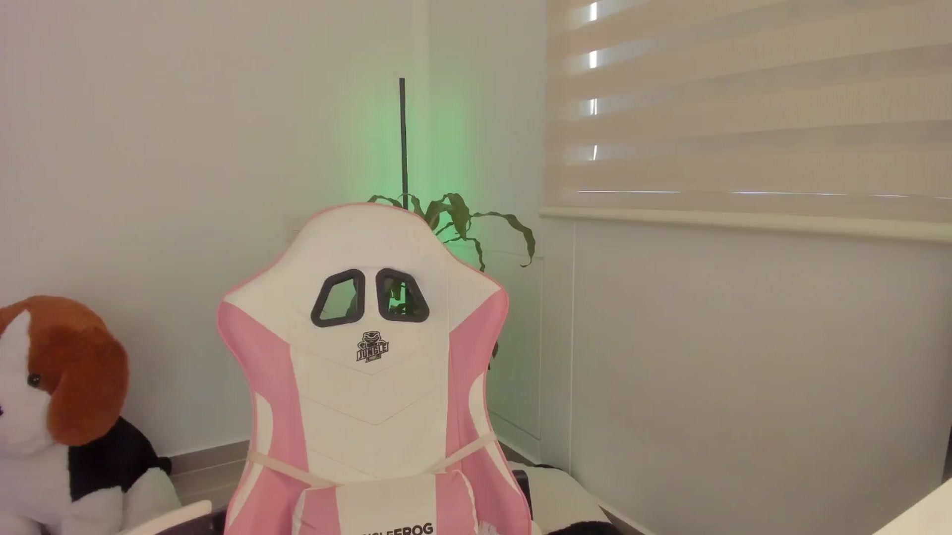 Gallery image thumbnail from Vilu_here's myfreecams stream on, 04/06/2025, 14:46 image 14 of 20