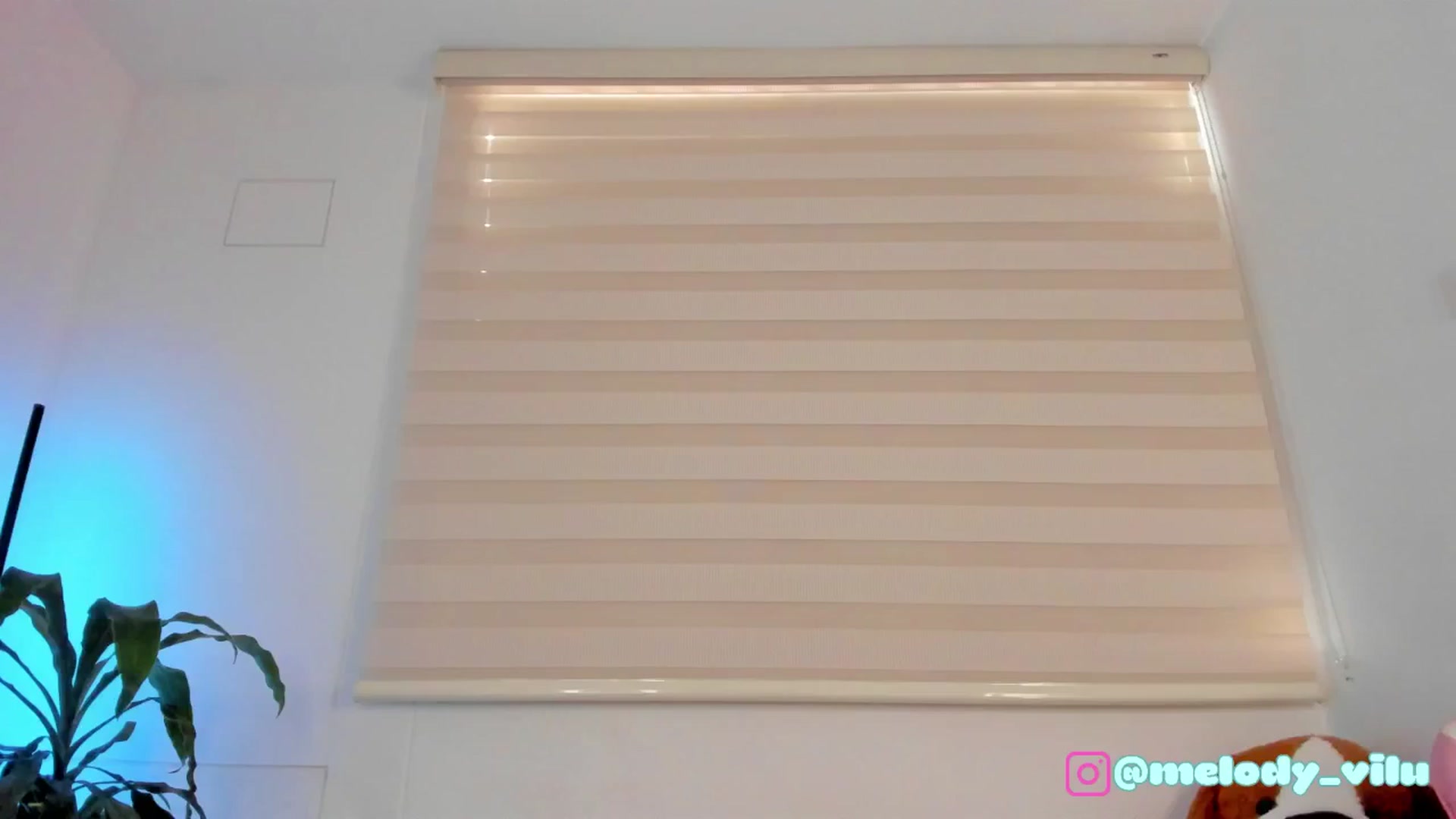 Gallery image thumbnail from Vilu_here's myfreecams stream on, 04/27/2025, 14:14 image 17 of 20