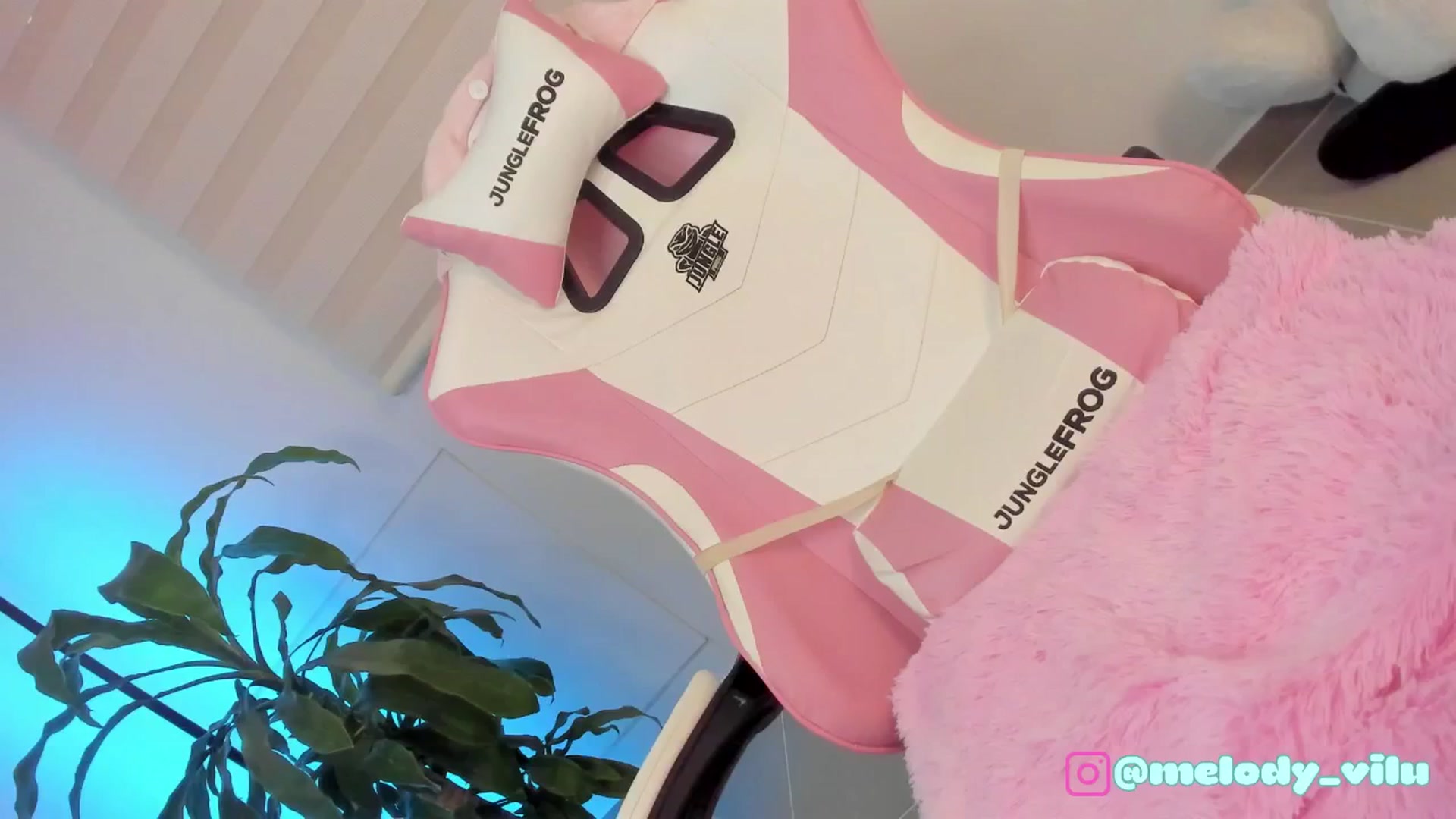 Gallery image thumbnail from Vilu_here's myfreecams stream on, 04/27/2025, 14:58 image 5 of 20