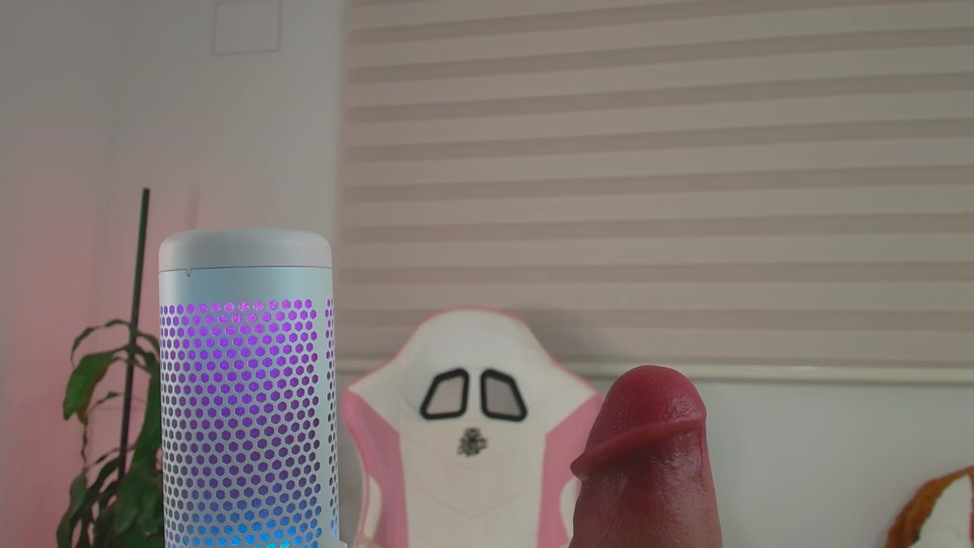 Gallery image thumbnail from Vilu_here's myfreecams stream on, 07/17/2025, 03:26 image 9 of 20