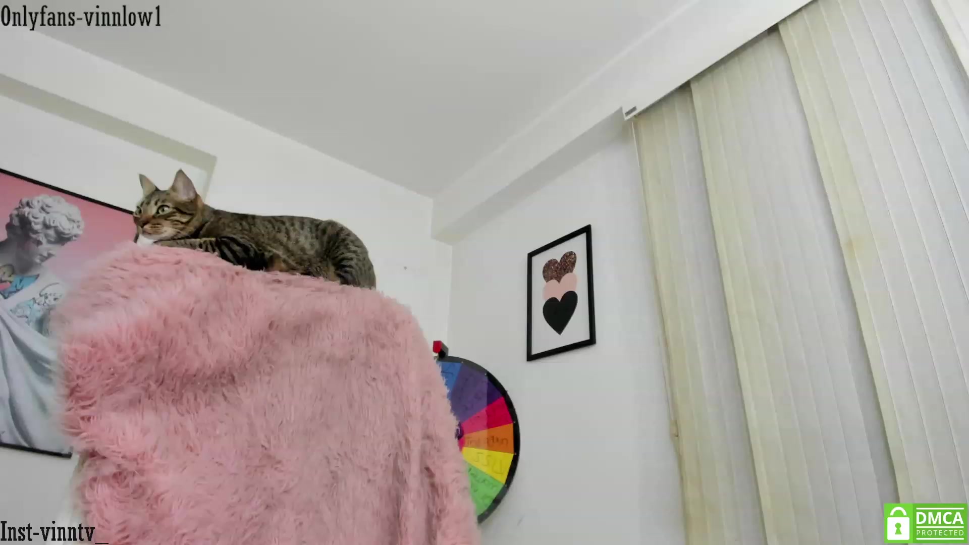 Gallery image thumbnail from Vinnlow's myfreecams stream on, 02/25/2024, 03:13 image 2 of 20