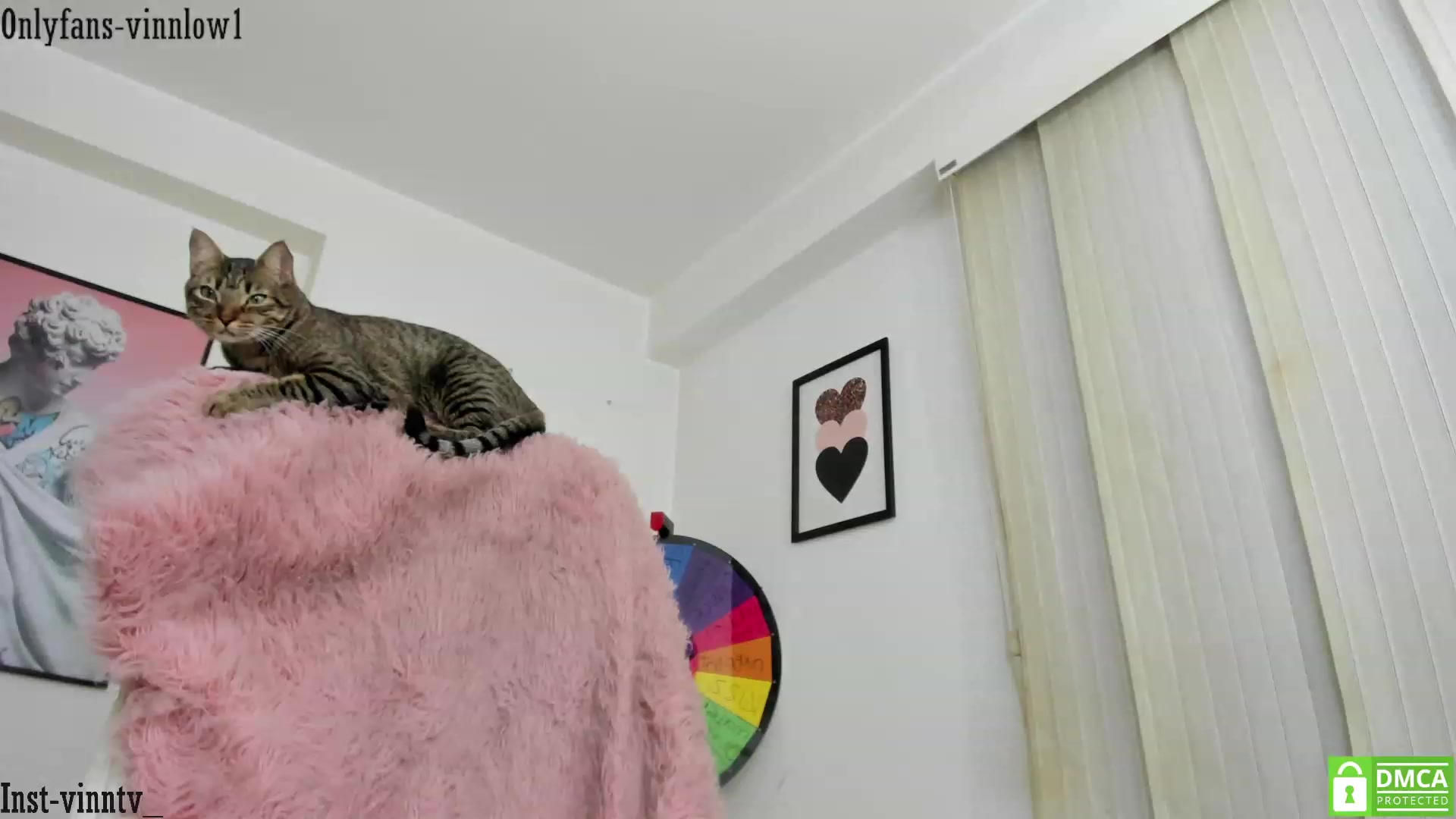 Gallery image thumbnail from Vinnlow's myfreecams stream on, 02/25/2024, 03:13 image 1 of 20