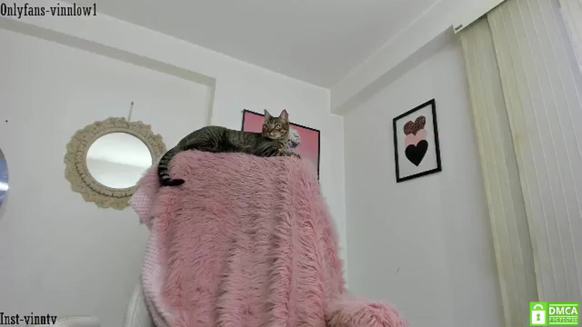 Gallery image thumbnail from Vinnlow's myfreecams stream on, 06/16/2024, 23:28 image 6 of 20