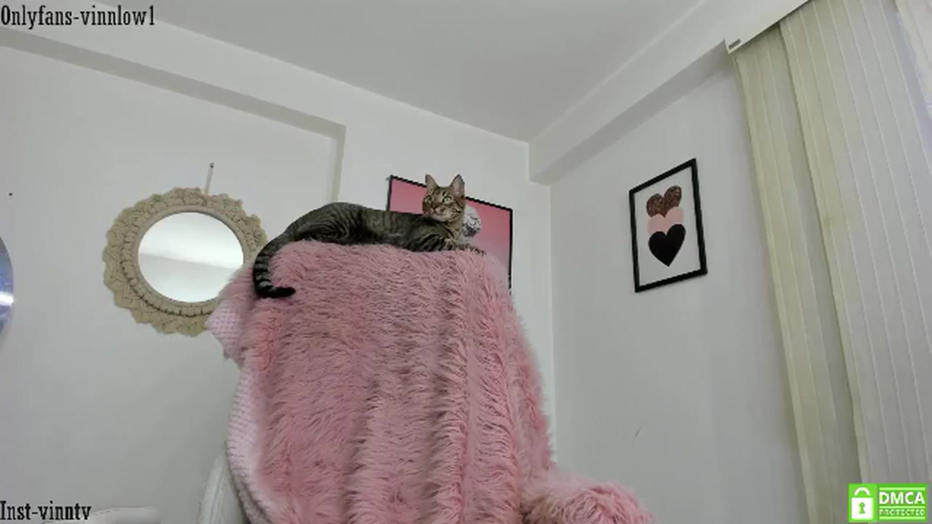Gallery image thumbnail from Vinnlow's myfreecams stream on, 06/16/2024, 23:28 image 7 of 20