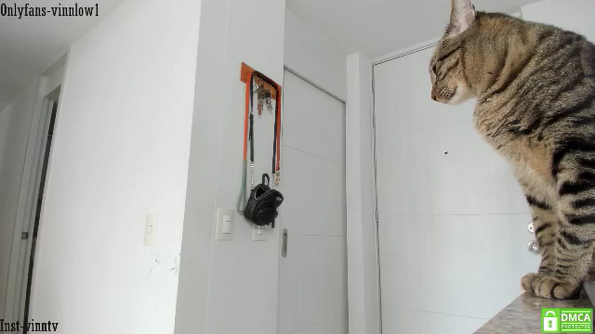 Gallery image thumbnail from Vinnlow's myfreecams stream on, 07/05/2024, 17:09 image 19 of 20