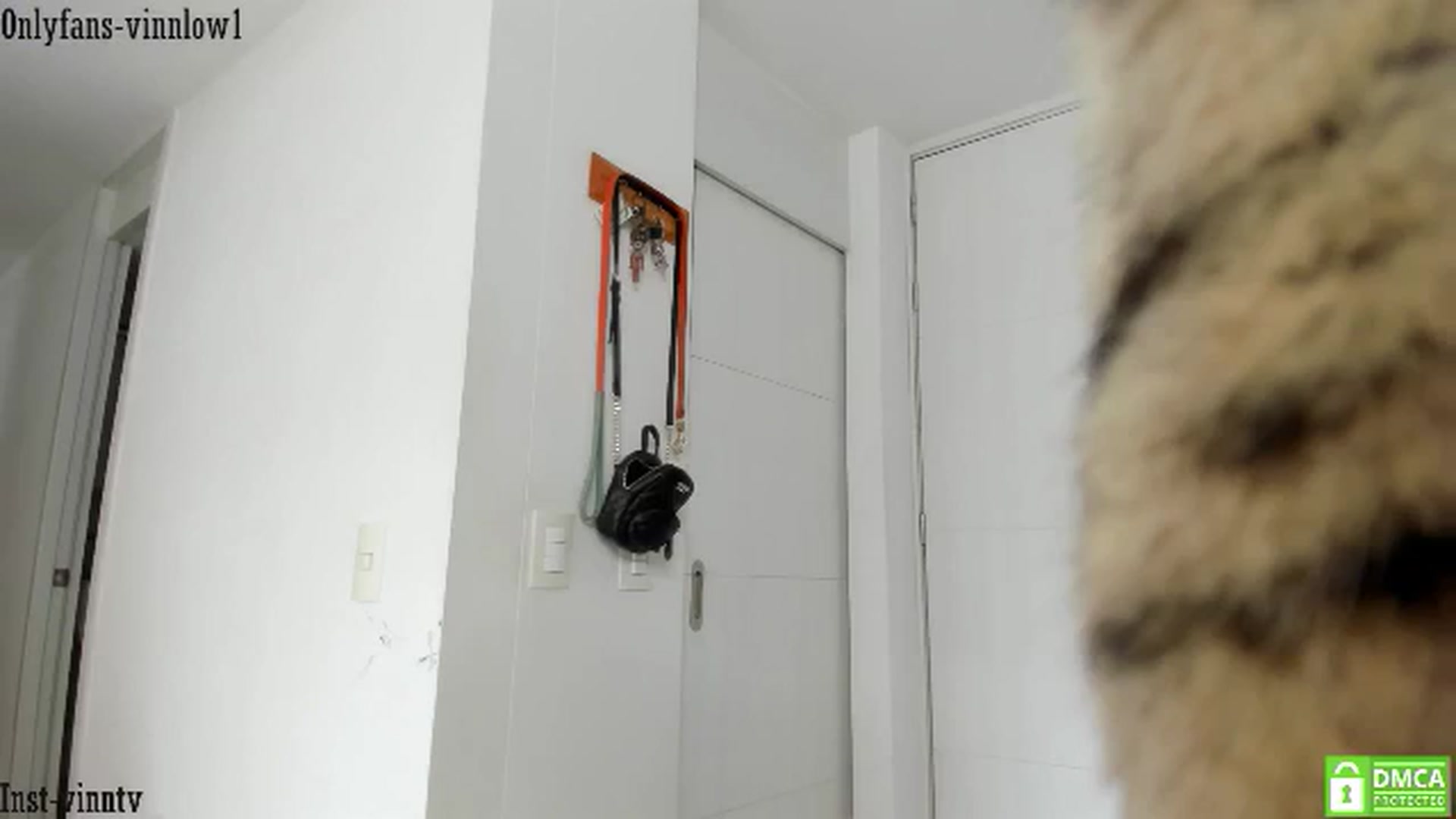 Gallery image thumbnail from Vinnlow's myfreecams stream on, 07/05/2024, 17:09 image 15 of 20