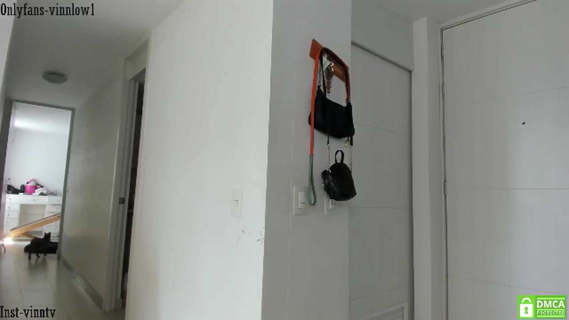 Gallery image thumbnail from Vinnlow's myfreecams stream on, 07/18/2024, 17:01 image 18 of 20